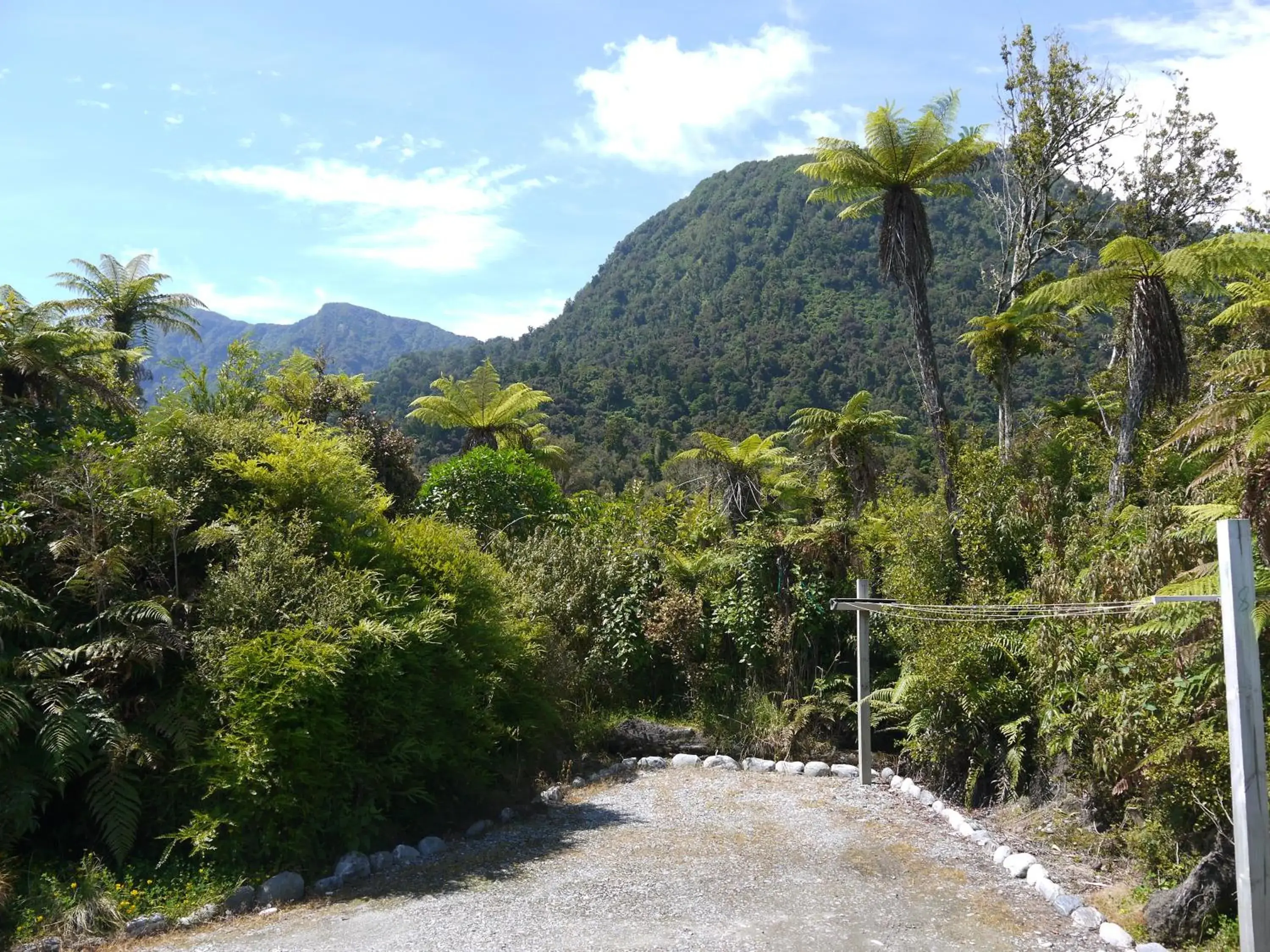 Mountain view in Franz Josef Treetops Mountain view in Franz Josef Treetops