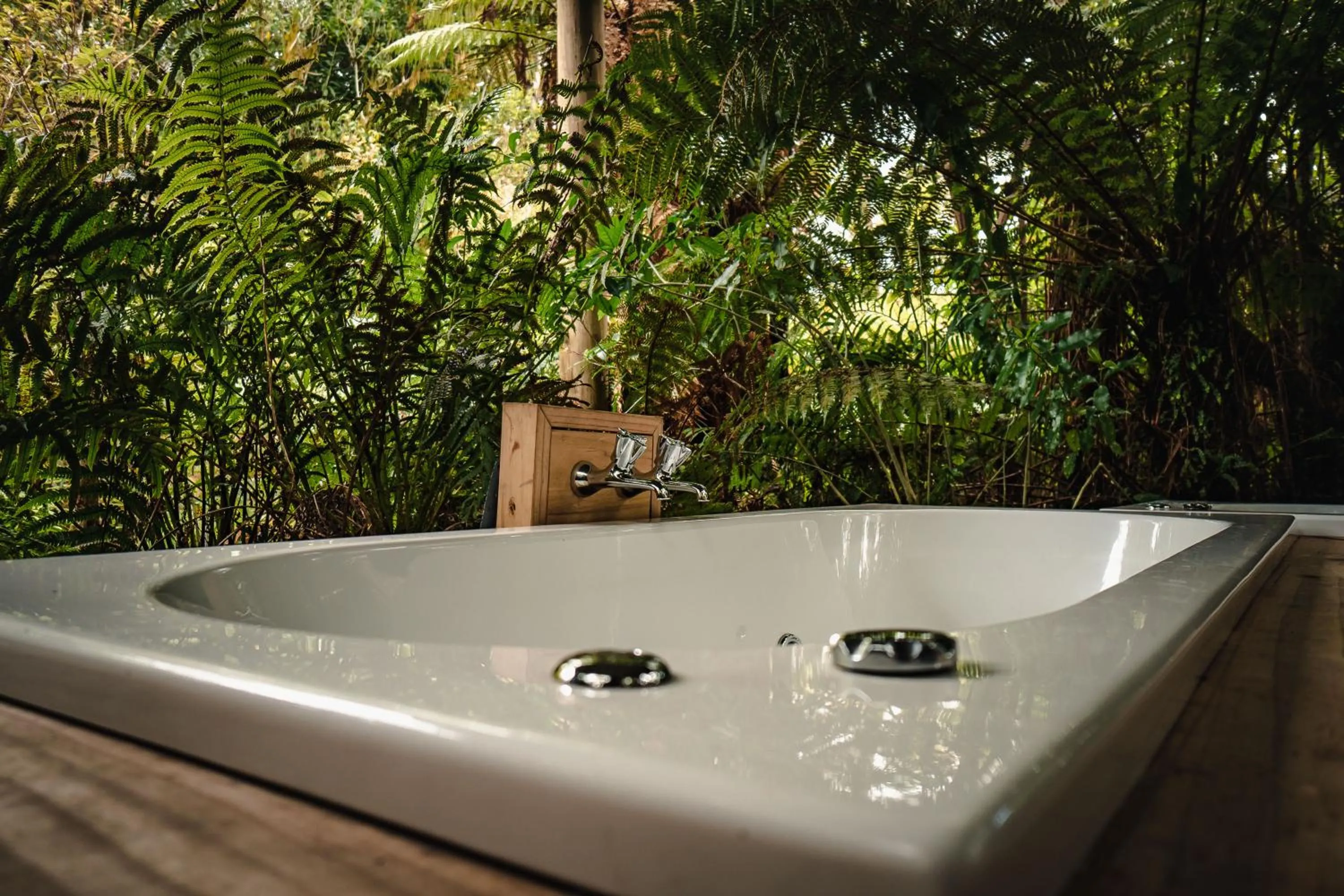Hot Tub in Franz Josef Treetops