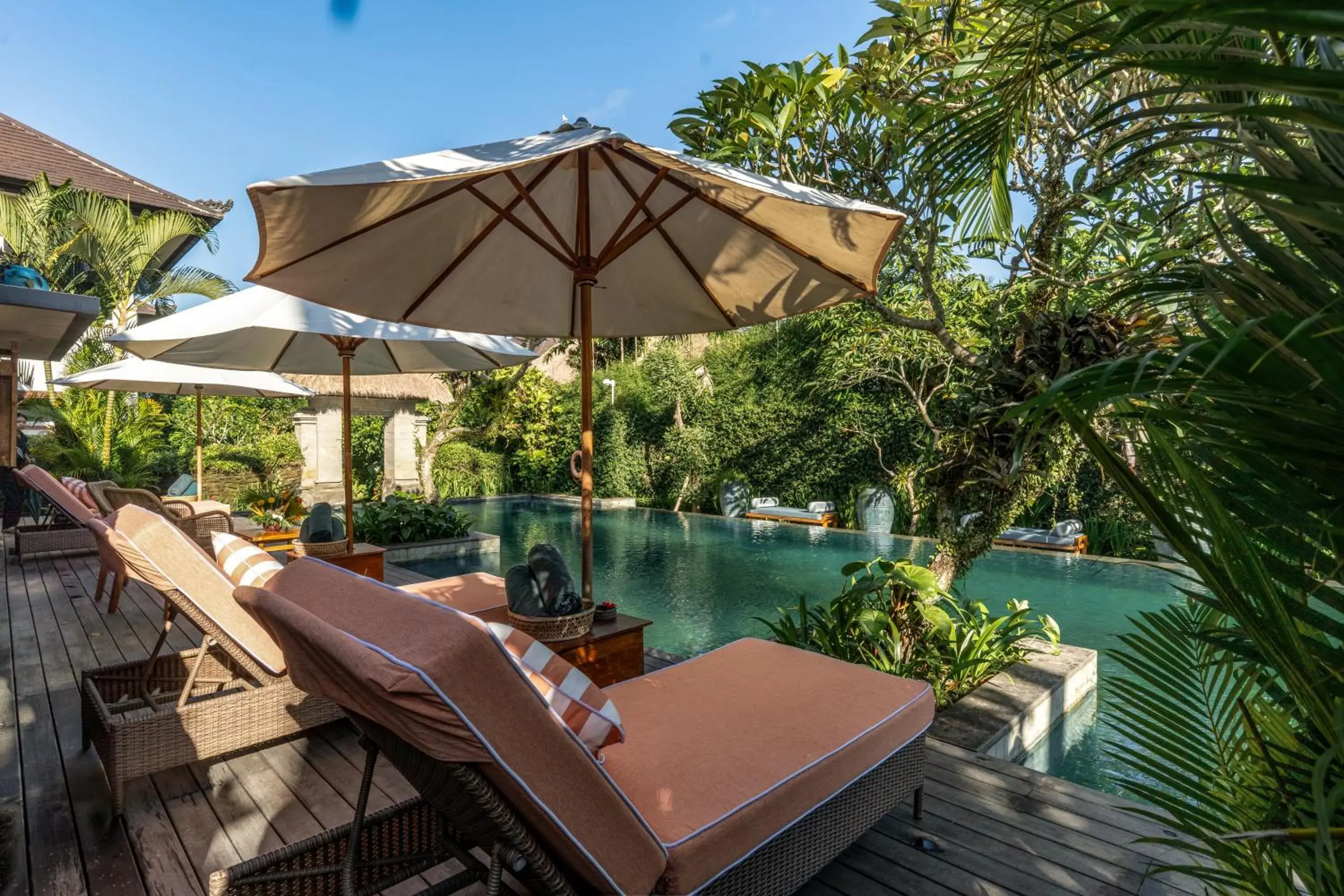 Swimming pool in Radha Phala Resort & Spa Swimming pool in Radha Phala Resort & Spa