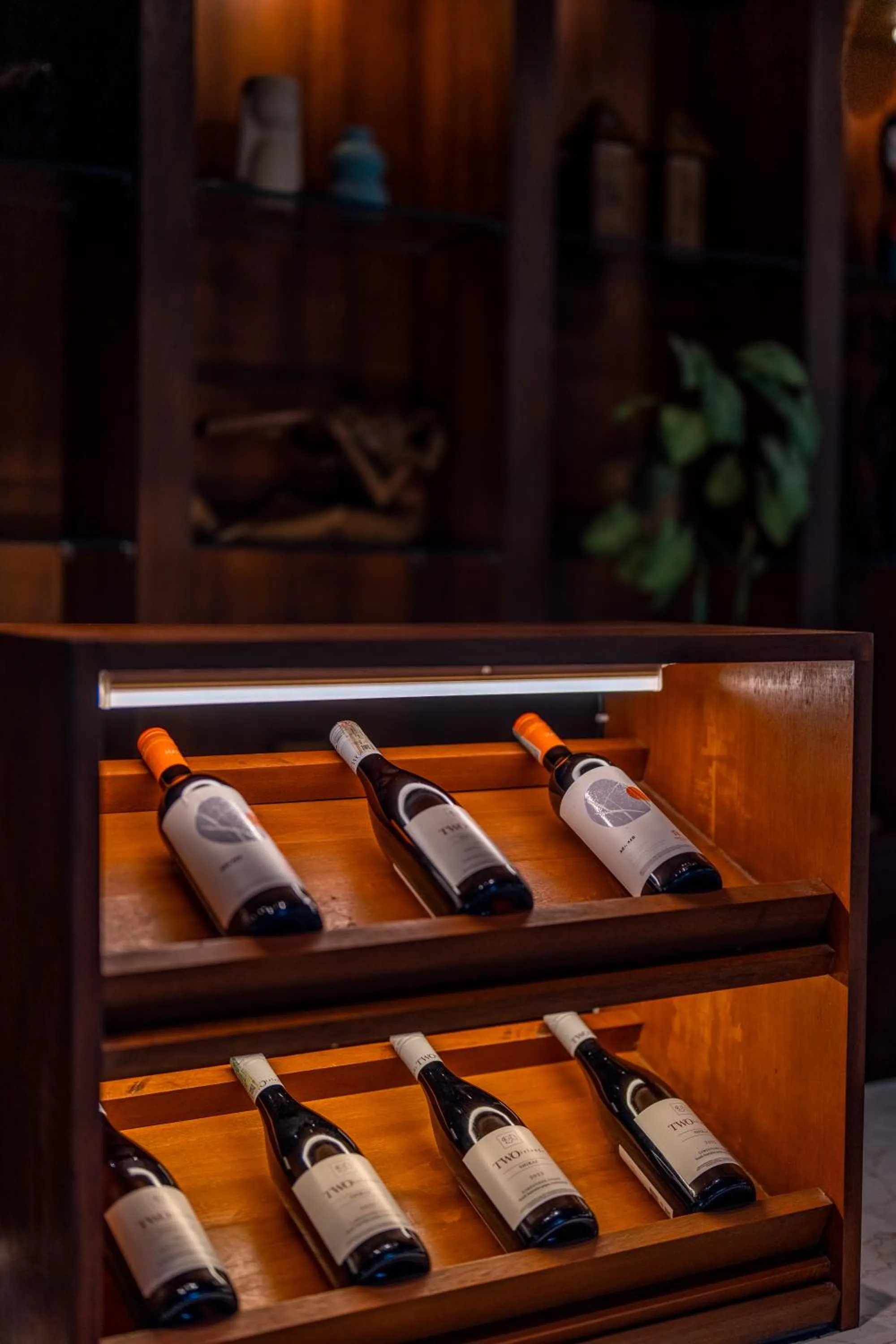 Drinks in Radha Phala Resort & Spa