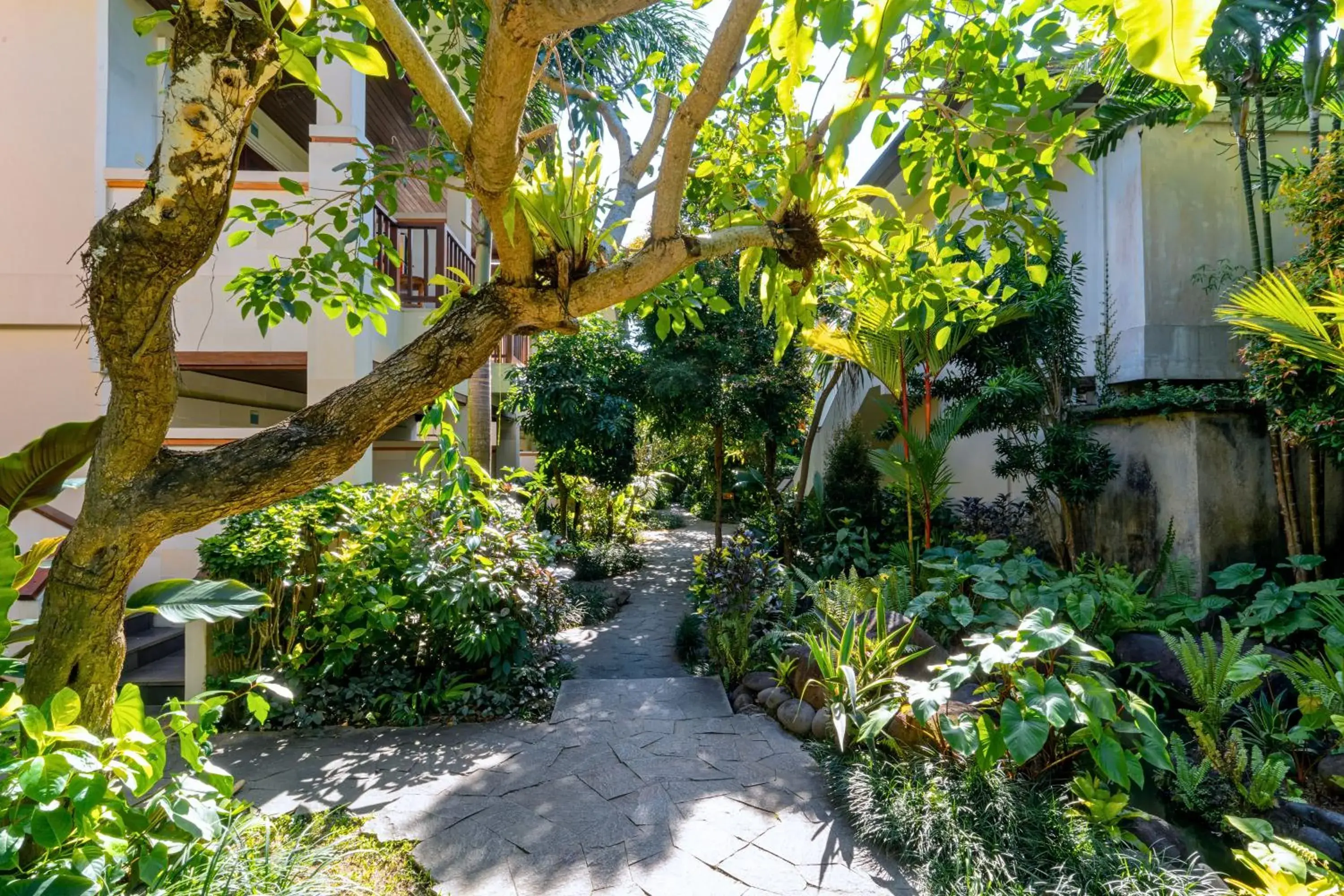 Garden in Radha Phala Resort & Spa Garden in Radha Phala Resort & Spa