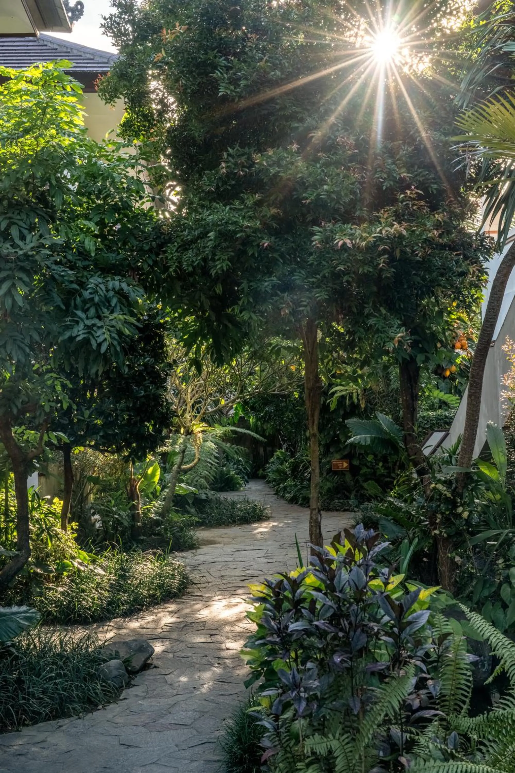 Garden in Radha Phala Resort & Spa