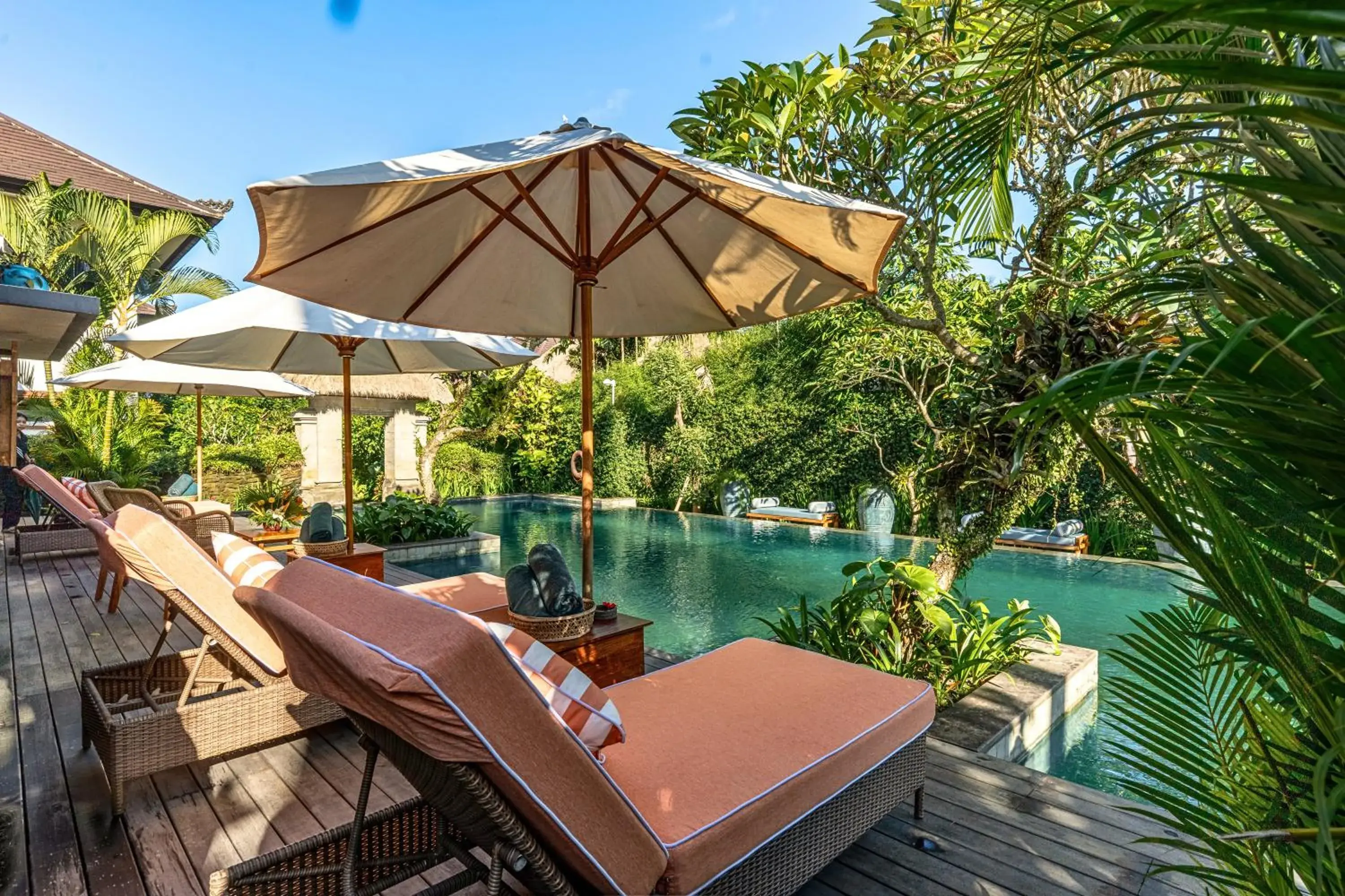 Pool view in Radha Phala Resort & Spa Pool view in Radha Phala Resort & Spa