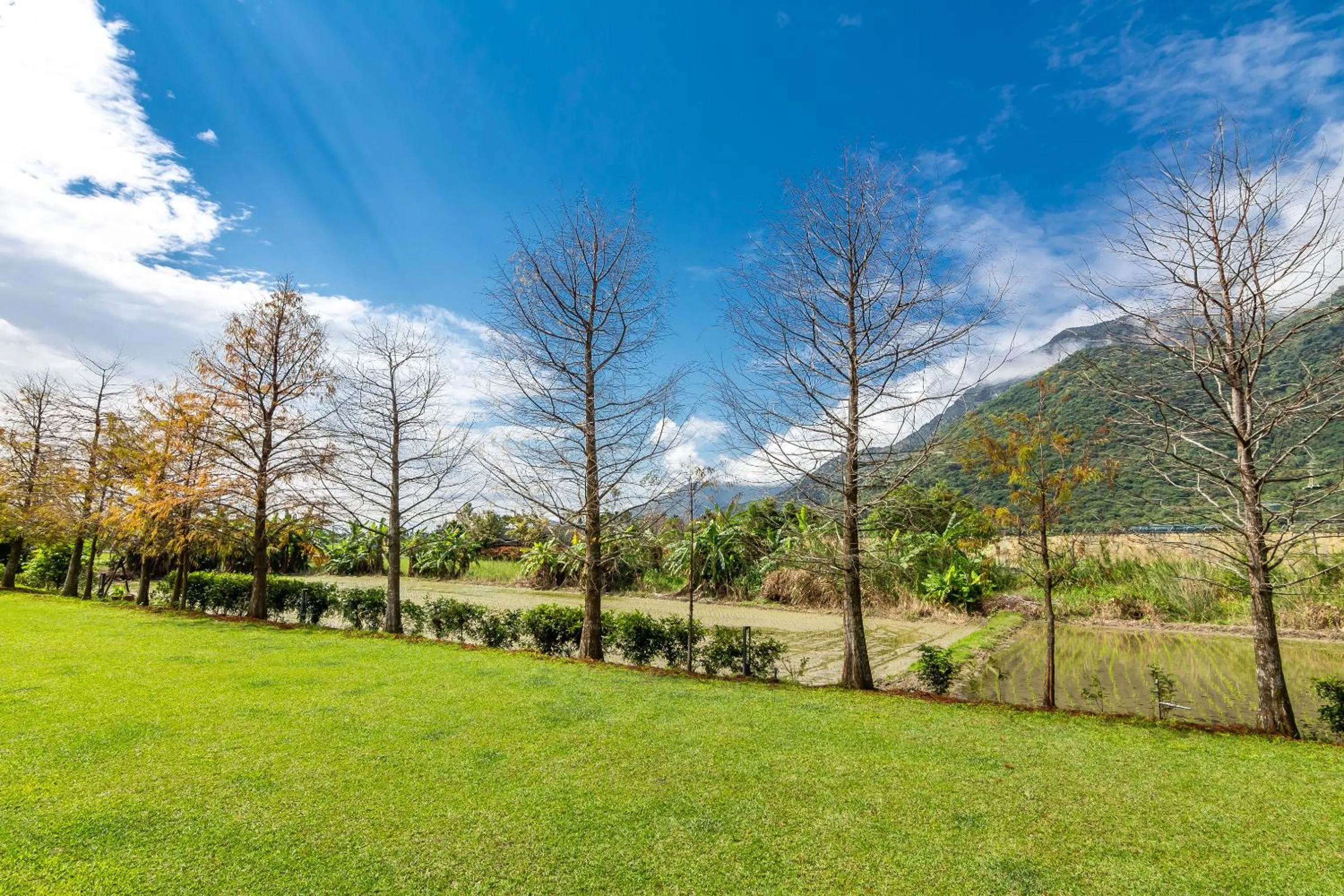 Decorative detail in Simple Life B&B