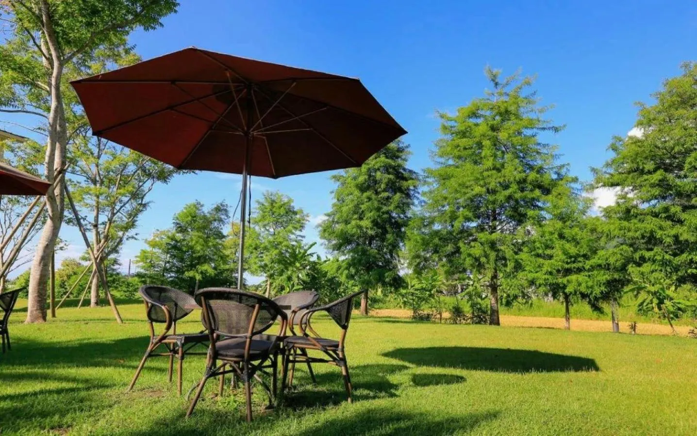Patio in Simple Life B&B