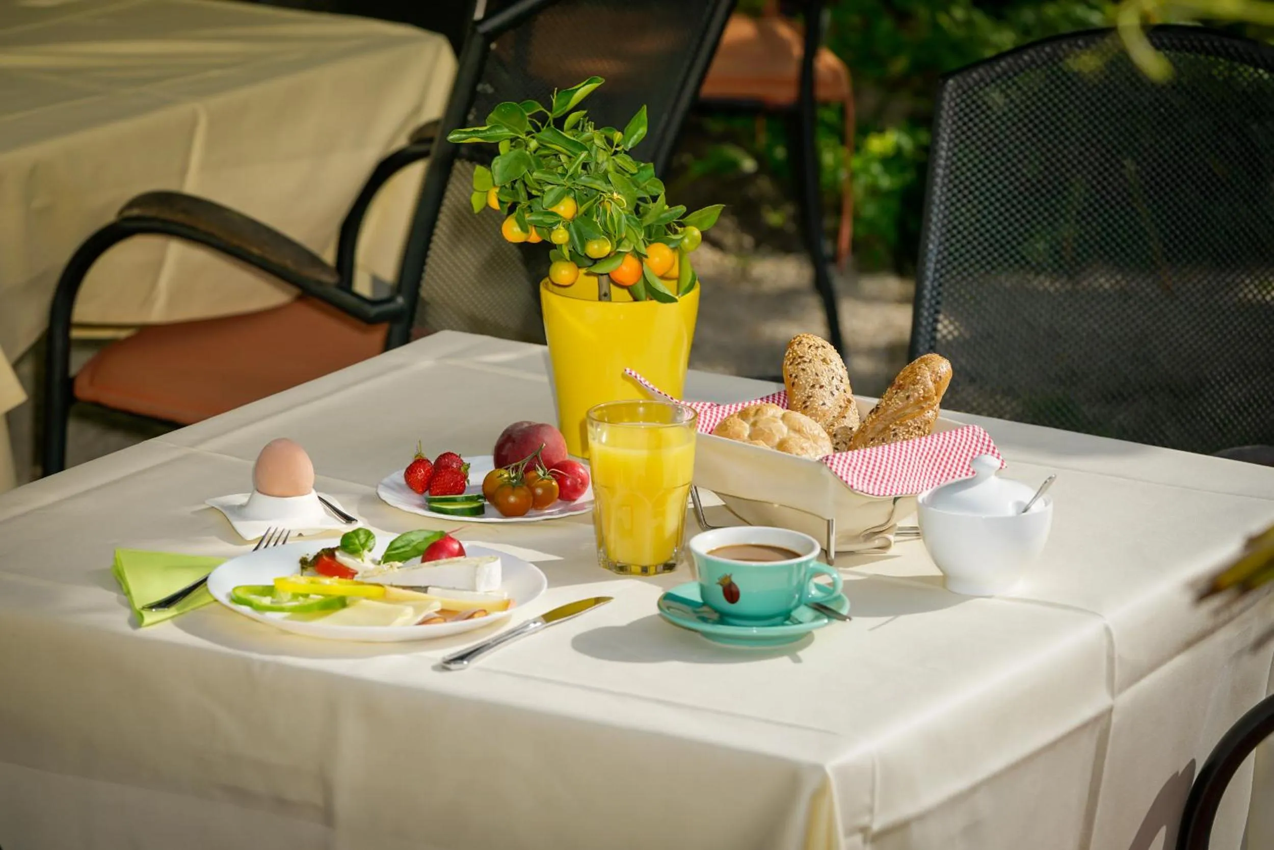 Food and drinks in Hotel Rosmann