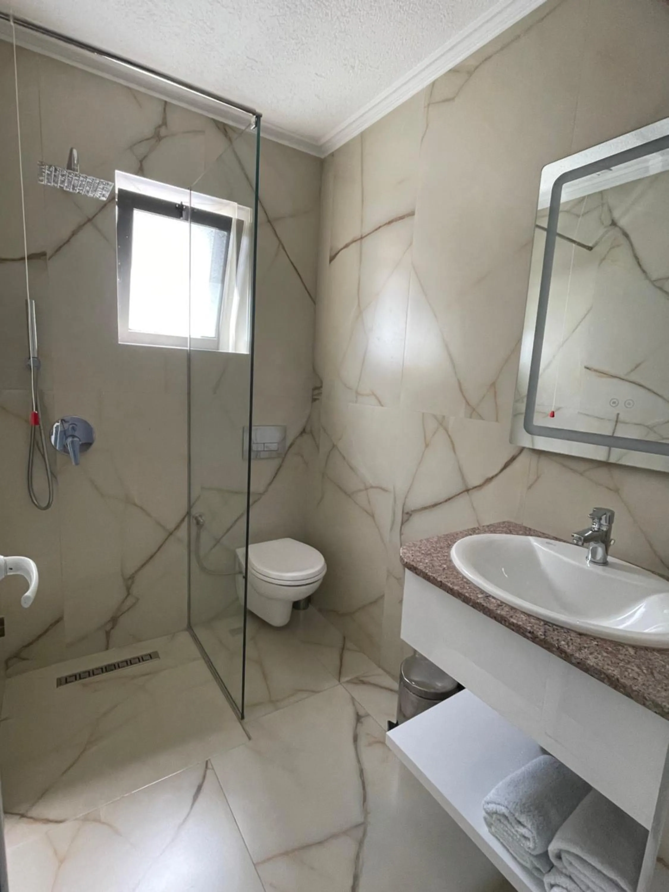 Shower in Hotel MS