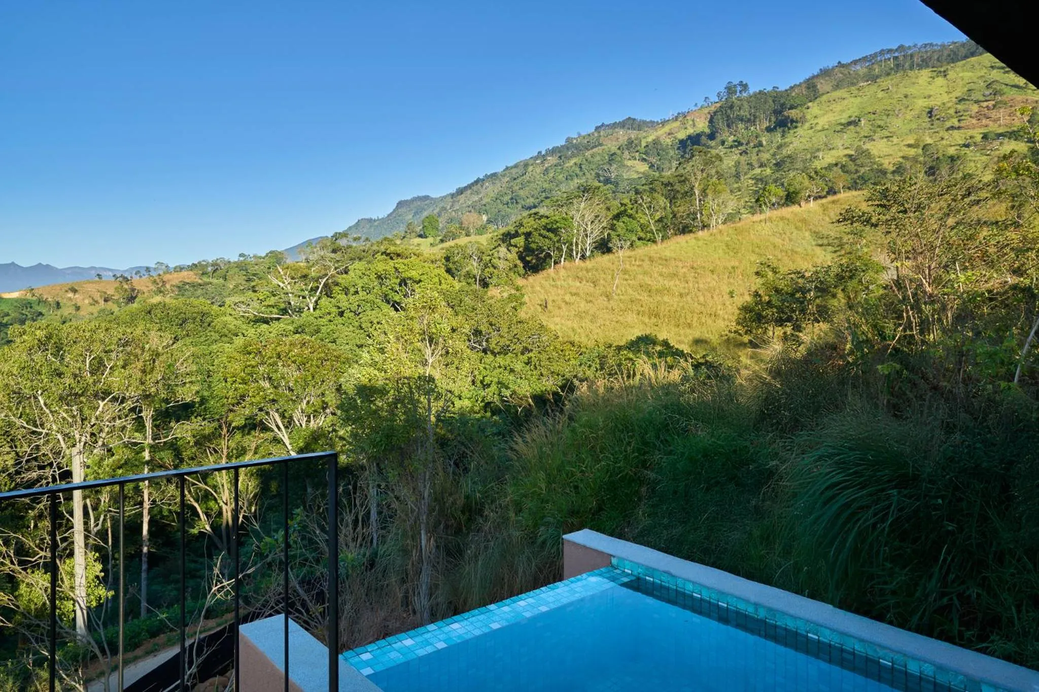 Suite with Private Pool - single occupancy in Wishing Tree Boutique Resort - Haputale's Panoramic Hideaway
