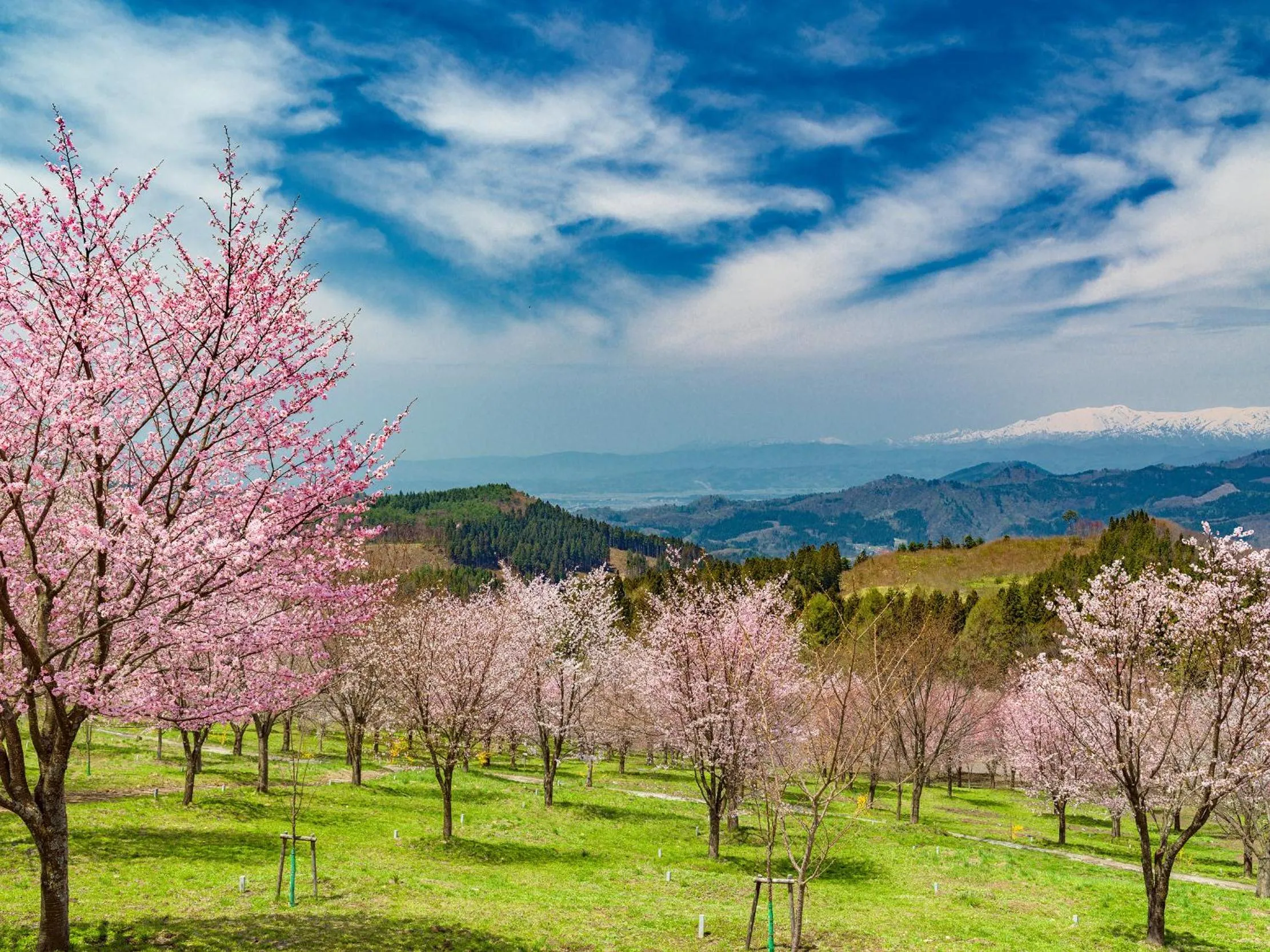 Nearby landmark in Urabandai Lake Resort Goshiki no Mori
