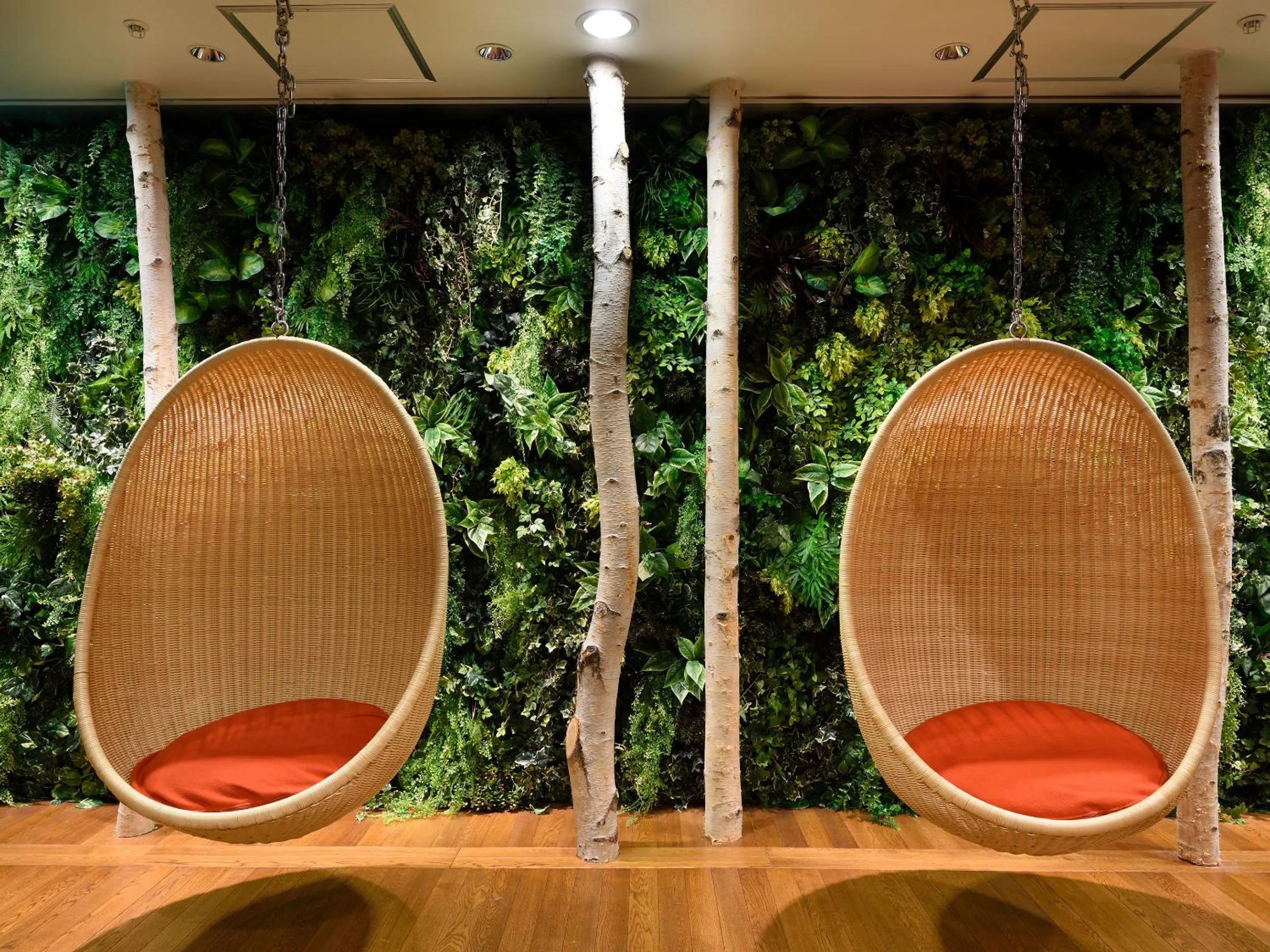 Area and facilities in Urabandai Lake Resort Goshiki no Mori