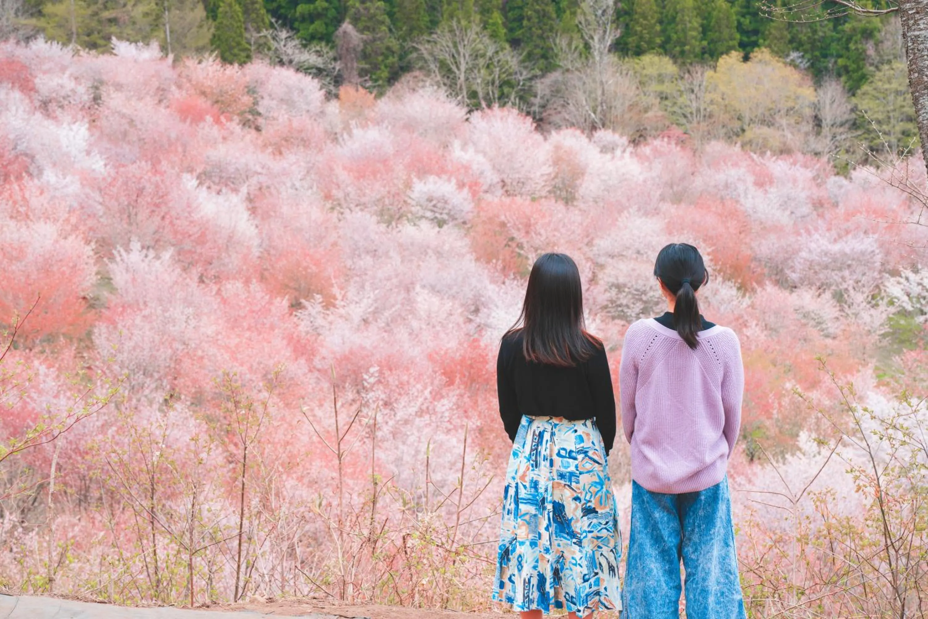 Nearby landmark in Urabandai Lake Resort Goshiki no Mori