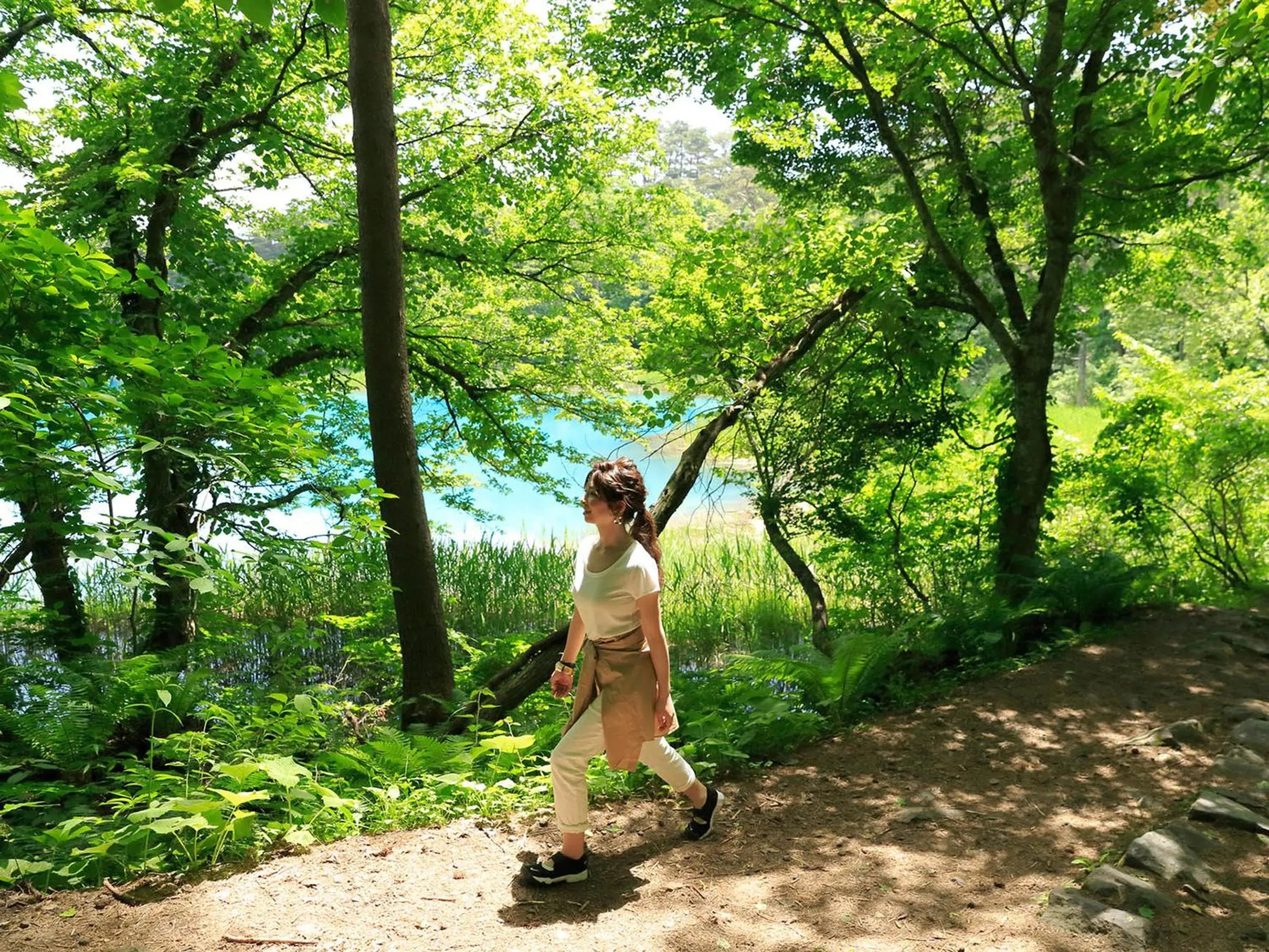 Urabandai Lake Resort Goshiki no Mori Urabandai Lake Resort Goshiki no Mori