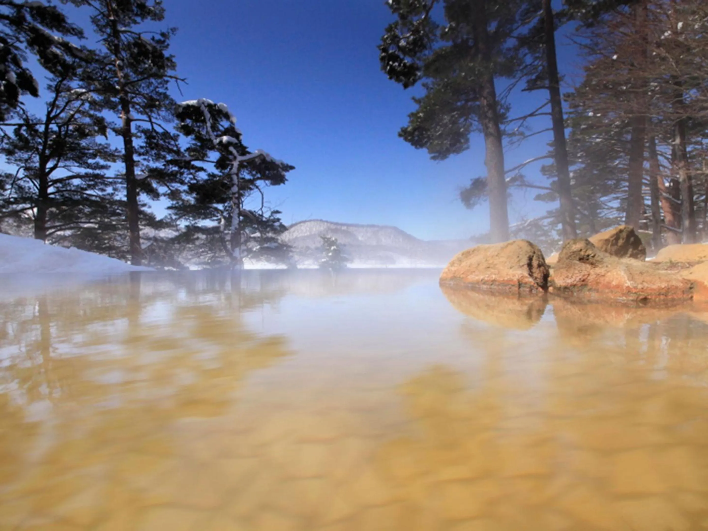 Hot Spring Bath in Urabandai Lake Resort Goshiki no Mori