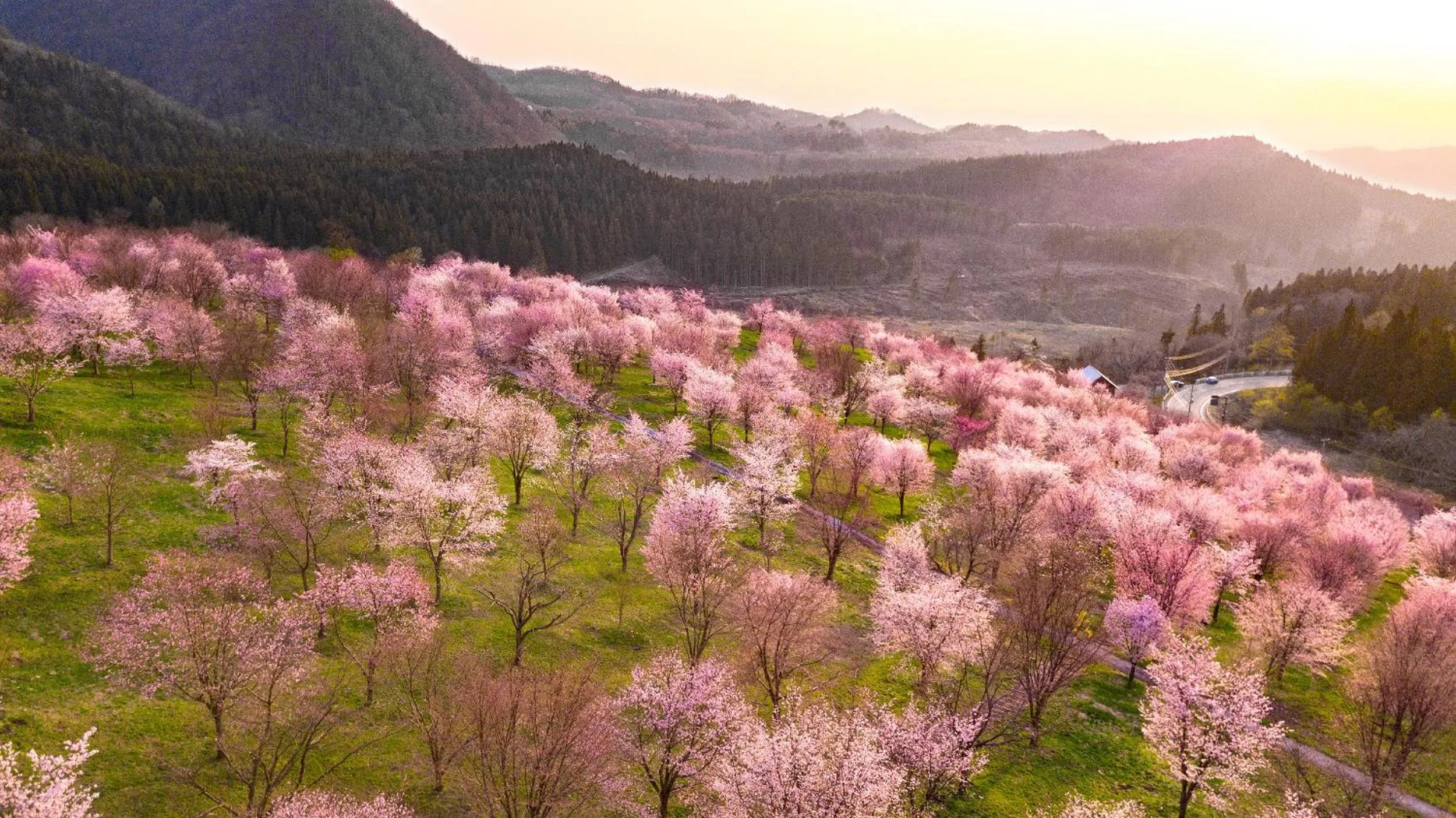 Nearby landmark in Urabandai Lake Resort Goshiki no Mori