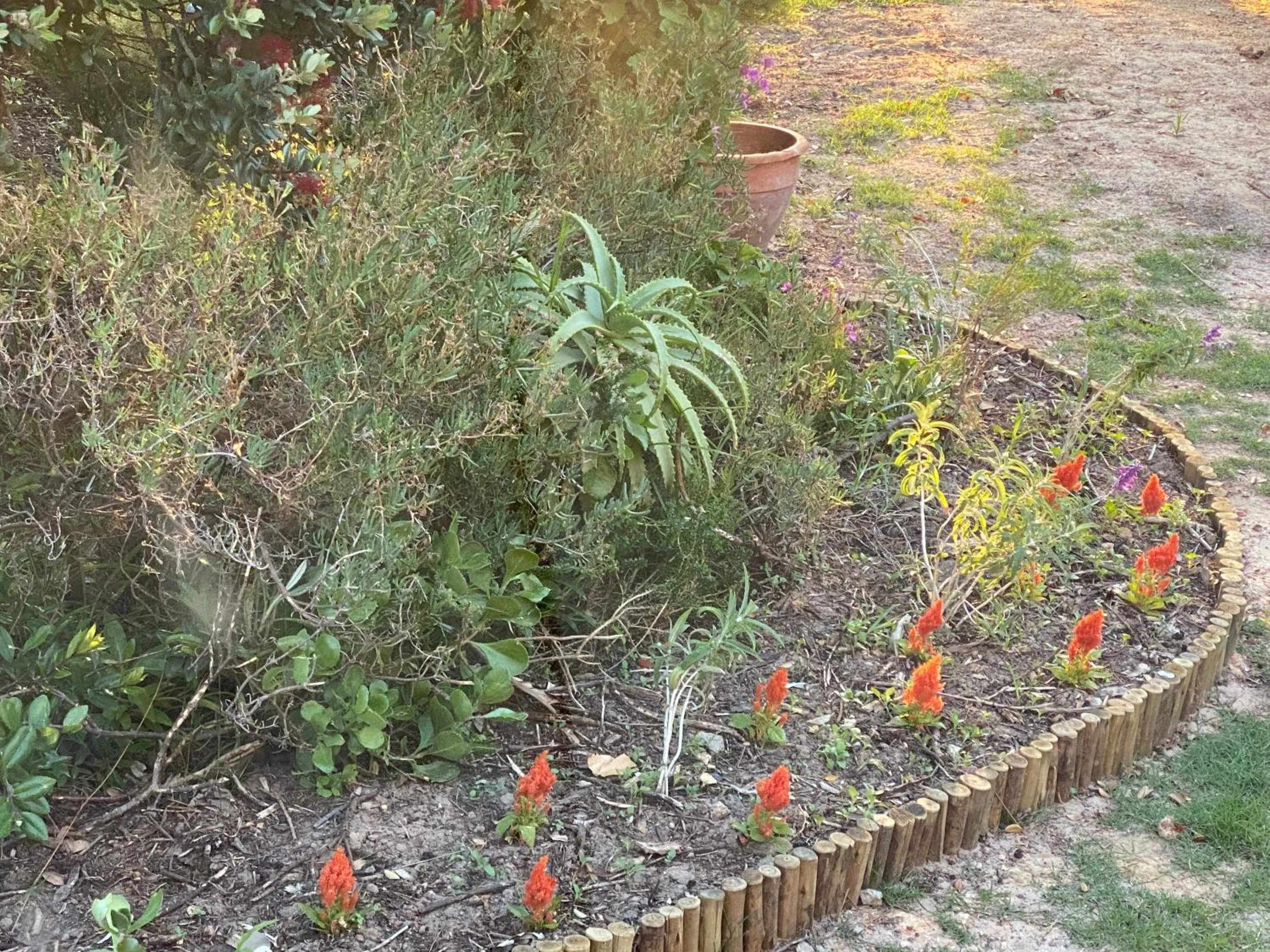Garden in Wild Rose Country Lodge