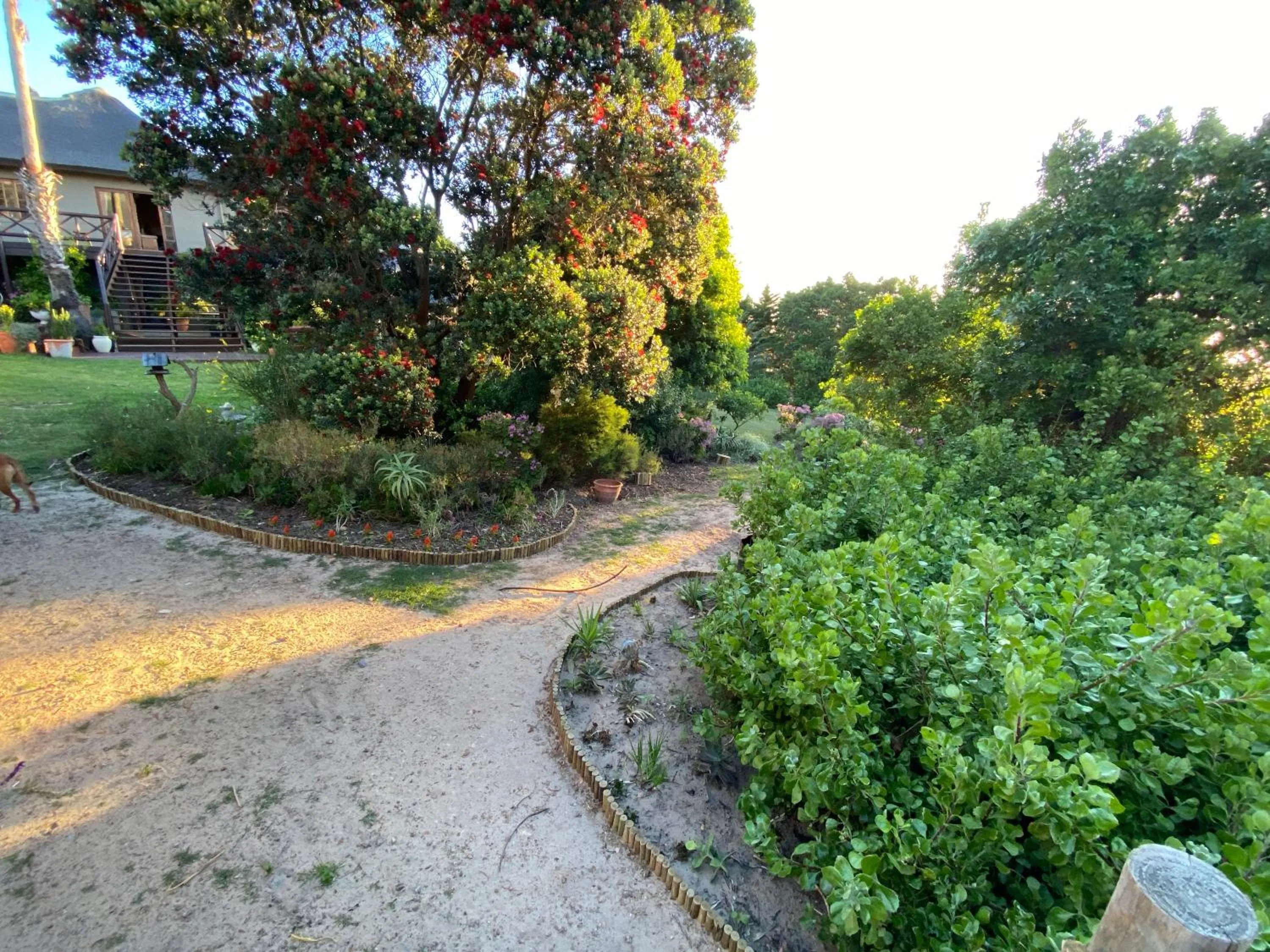 Garden in Wild Rose Country Lodge