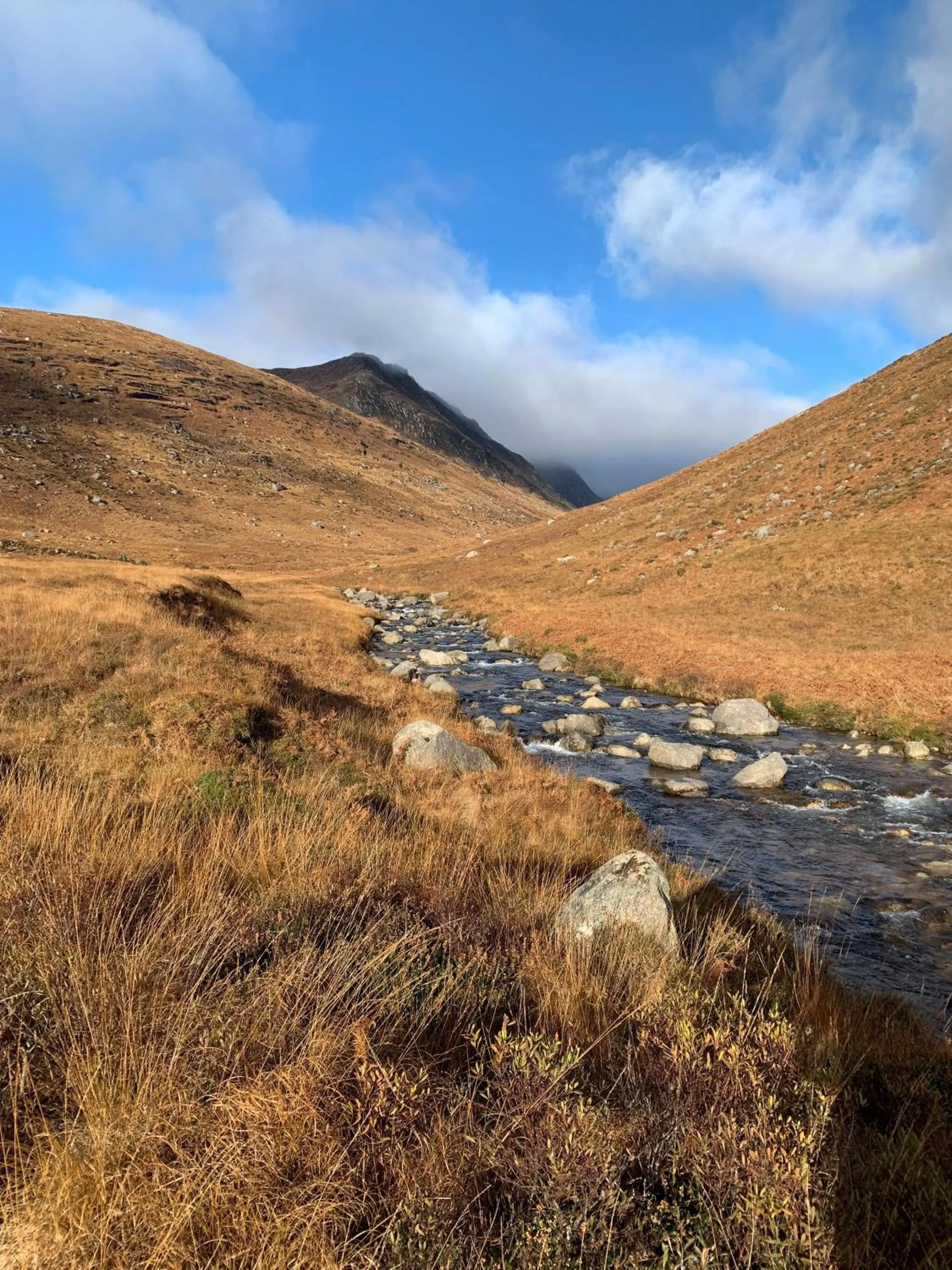 Natural landscape in The Corrie Hotel