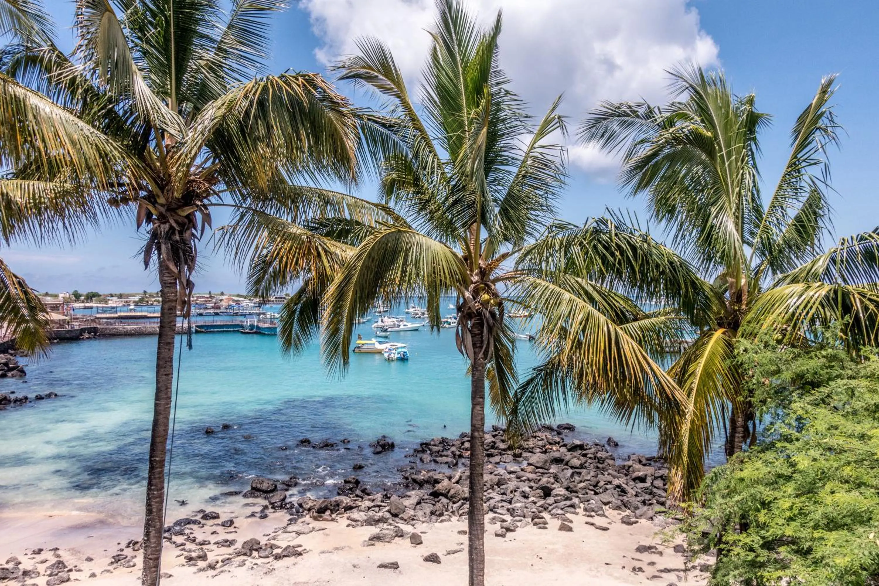 Day in Golden Bay Galapagos