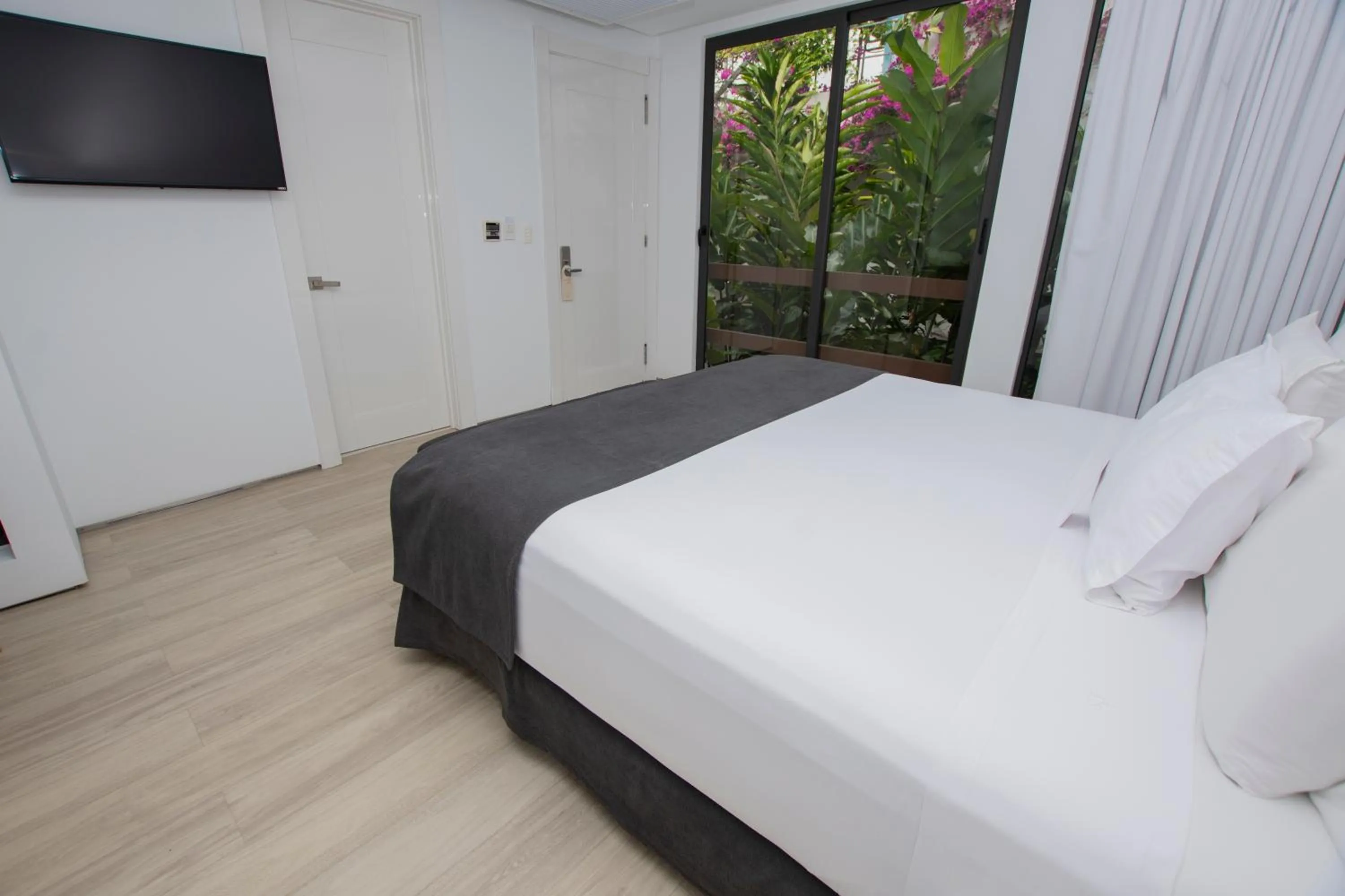 Bed in Golden Bay Galapagos