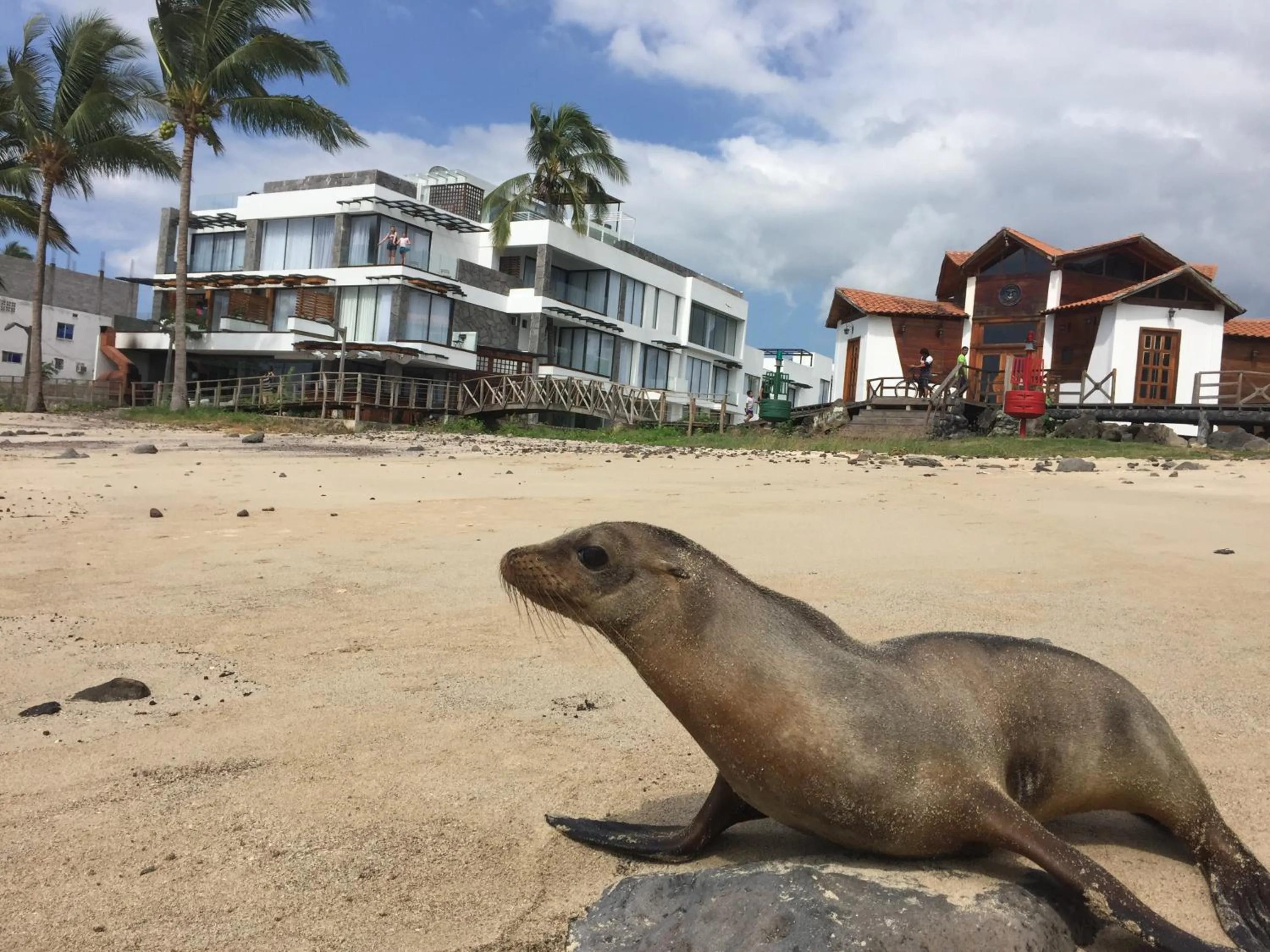 Property building in Golden Bay Galapagos