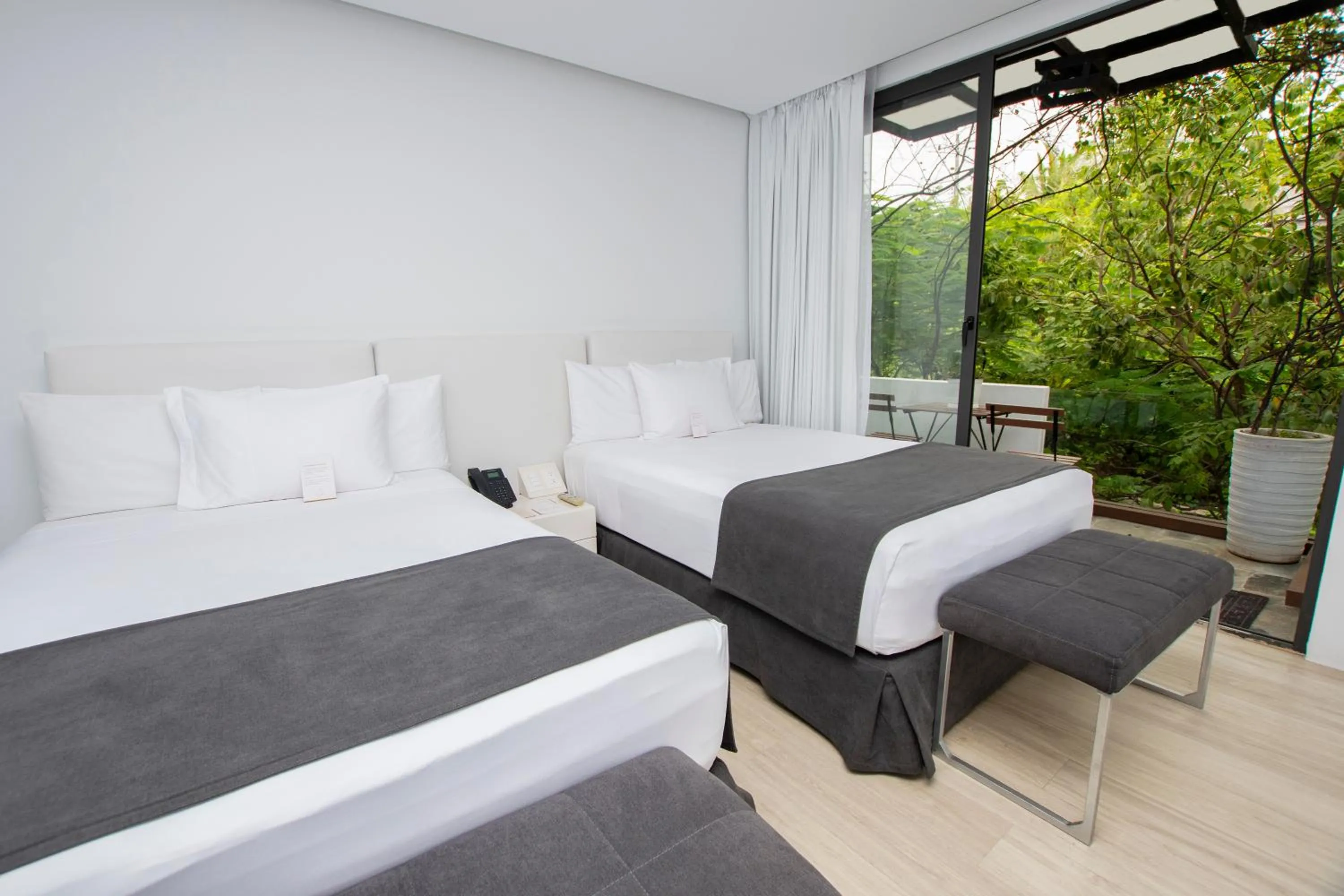 Bed in Golden Bay Galapagos