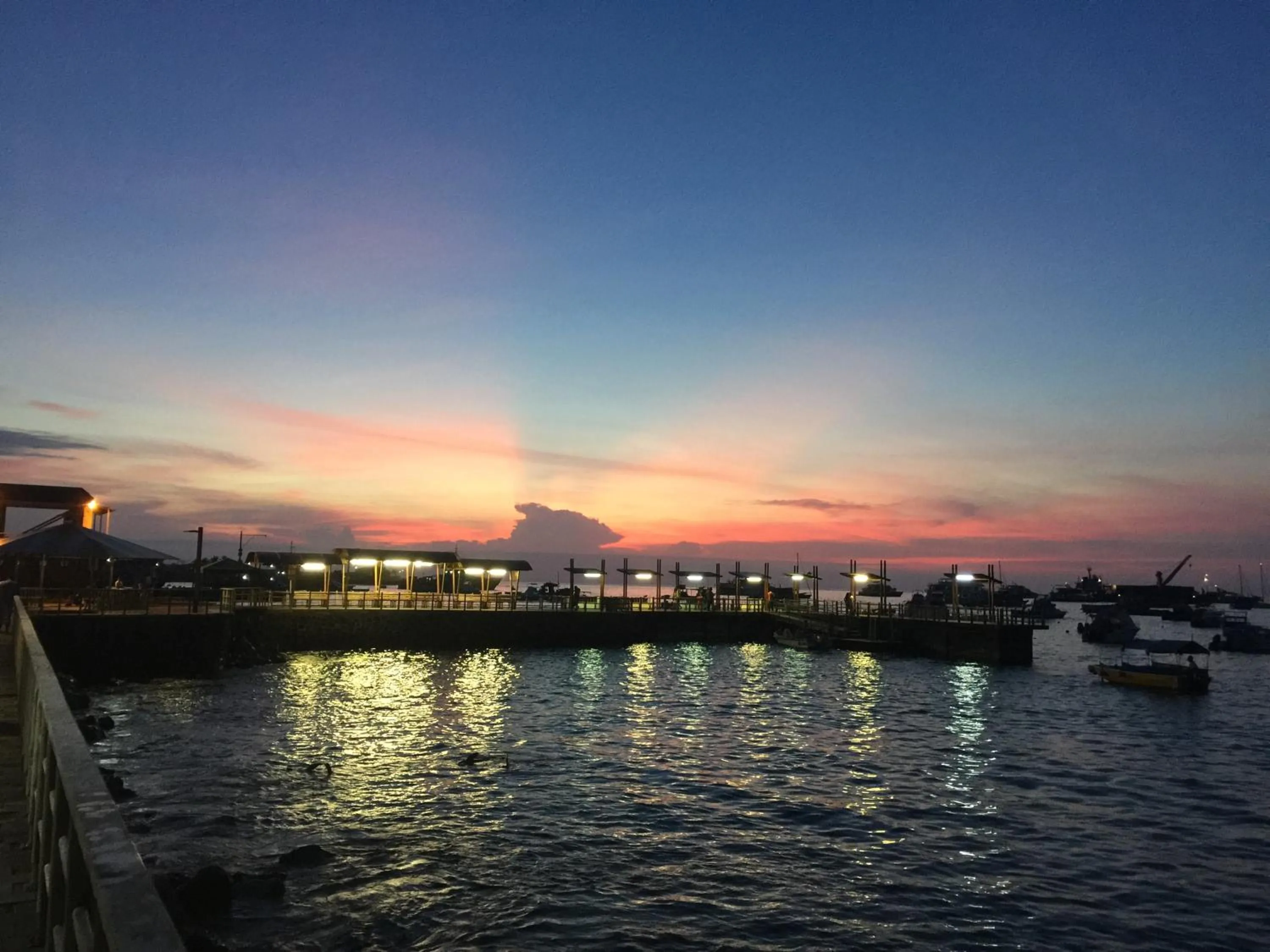 View (from property/room) in Golden Bay Galapagos