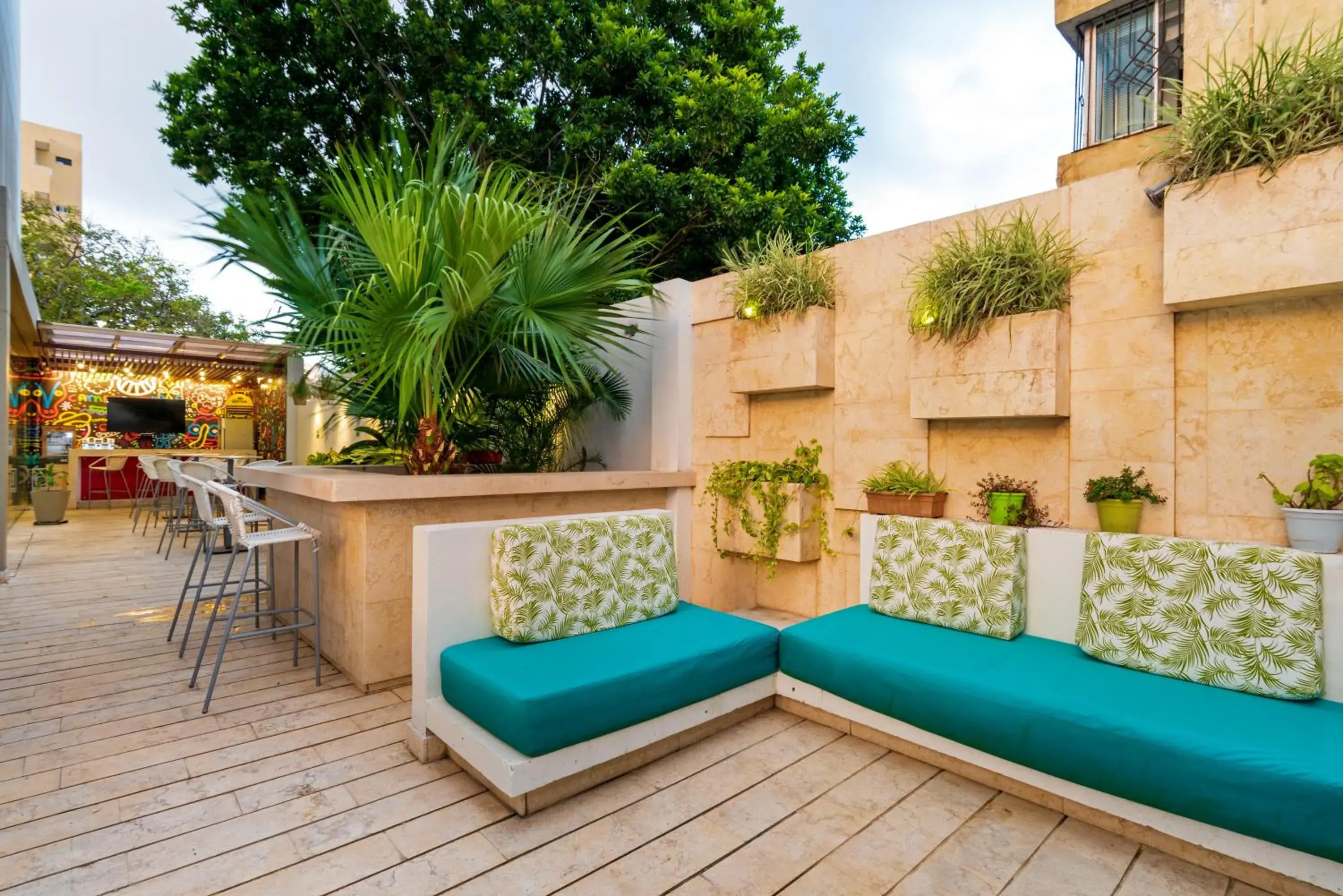 Lounge or bar in bh Barranquilla Lounge or bar in bh Barranquilla