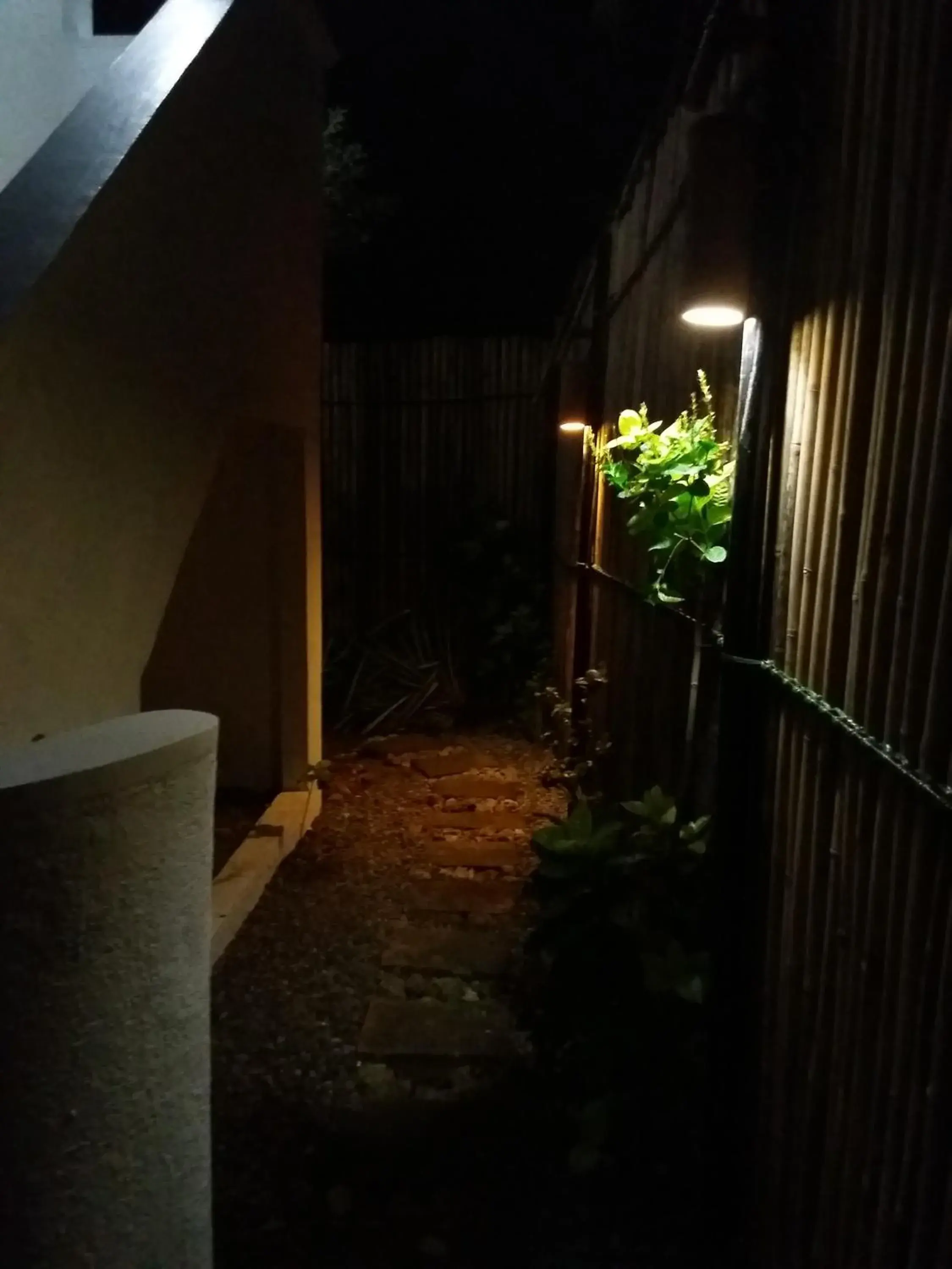 Garden view in V BOUTIQUE by my hostel Garden view in V BOUTIQUE by my hostel