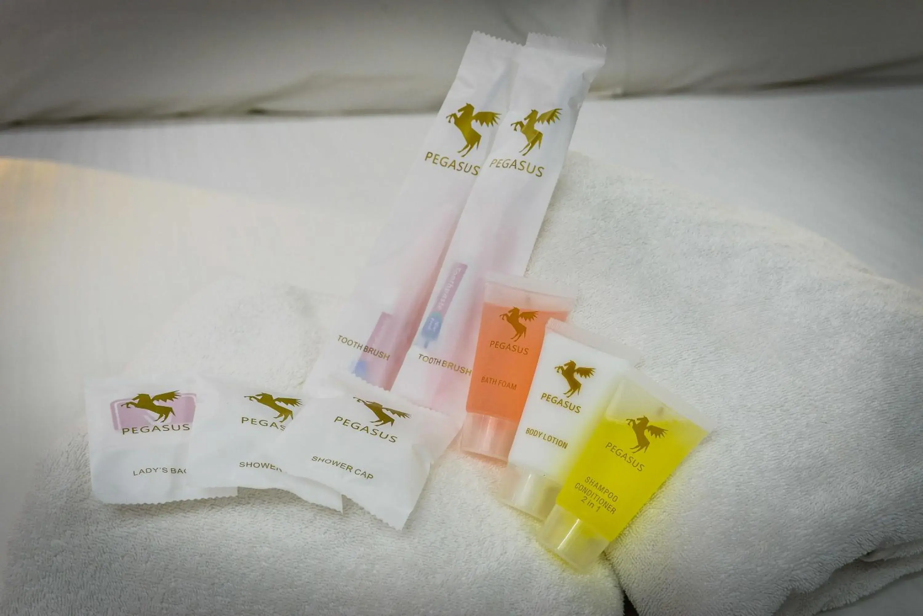 Bathroom in Pegasus Hotel Shah Alam Bathroom in Pegasus Hotel Shah Alam