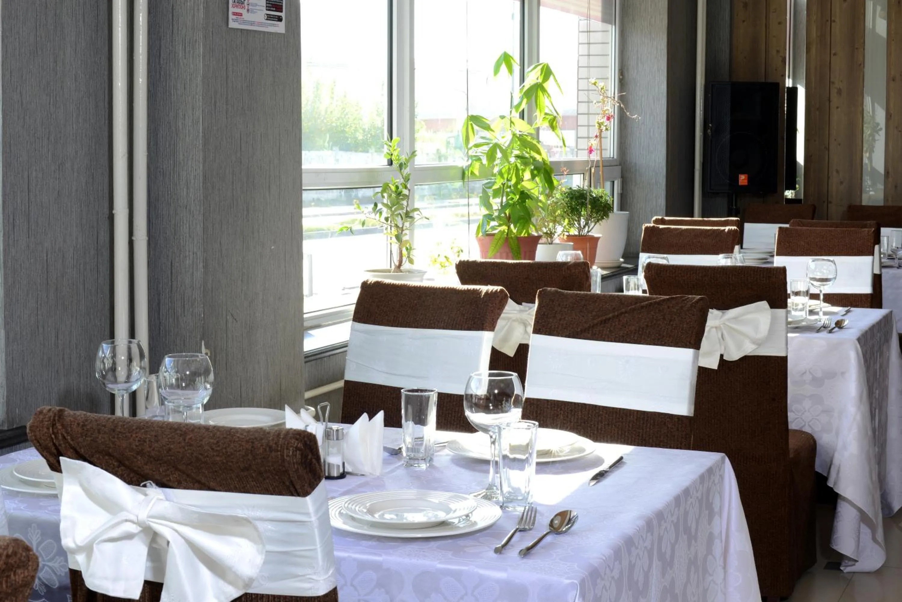 Restaurant/places to eat in Zolo Hotel