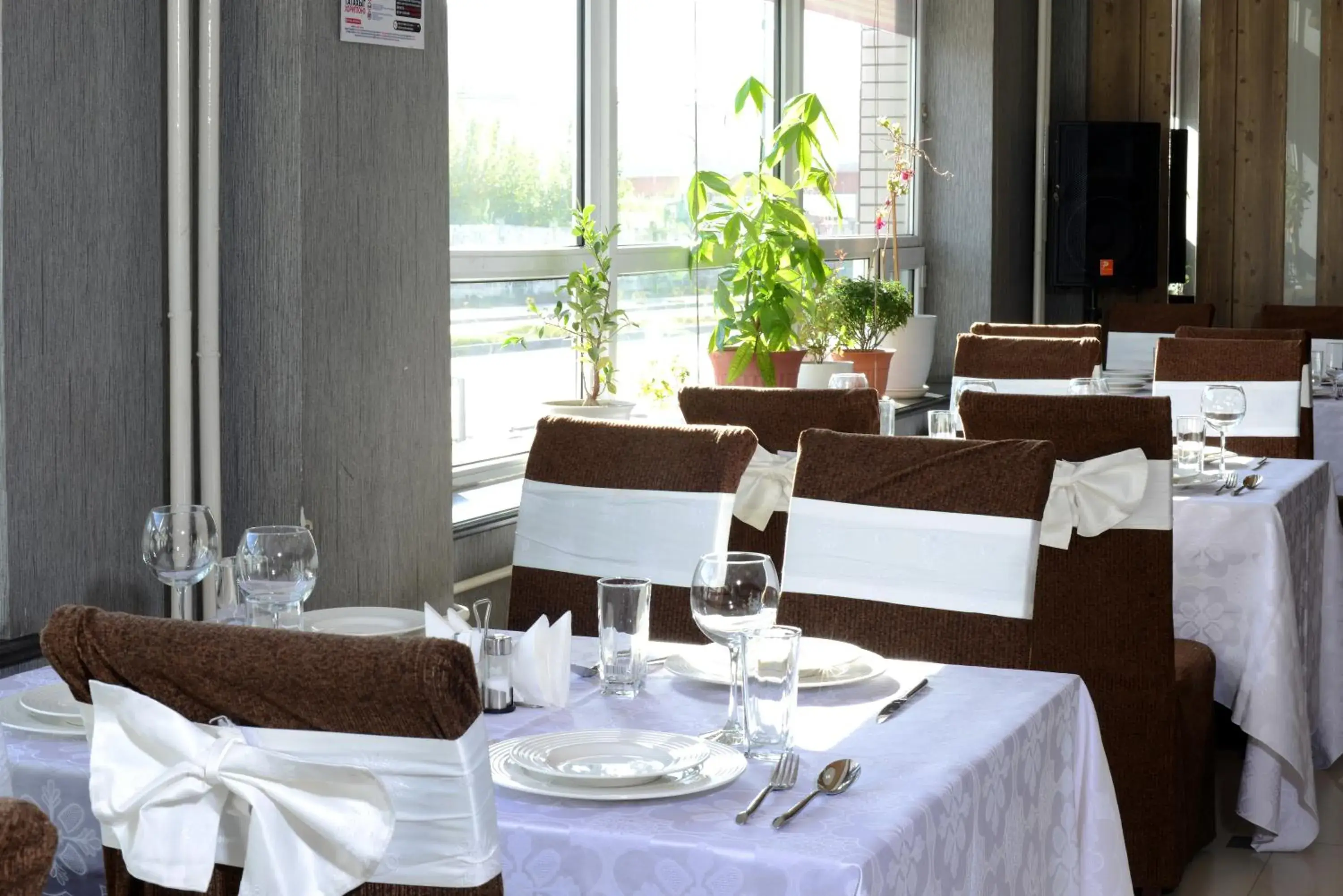 Restaurant/places to eat in Zolo Hotel Restaurant/places to eat in Zolo Hotel