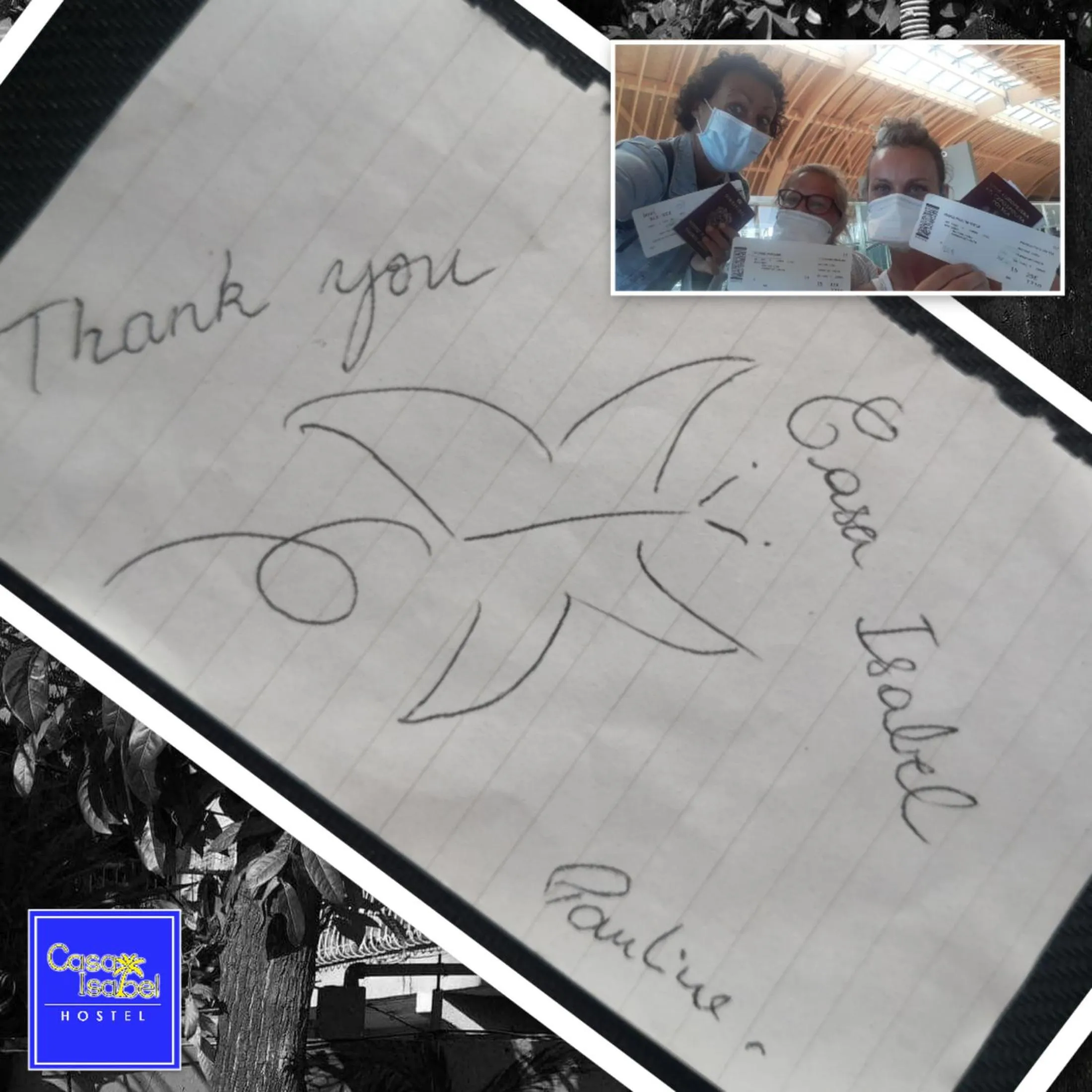 Logo/Certificate/Sign in Casa Isabel Hostel