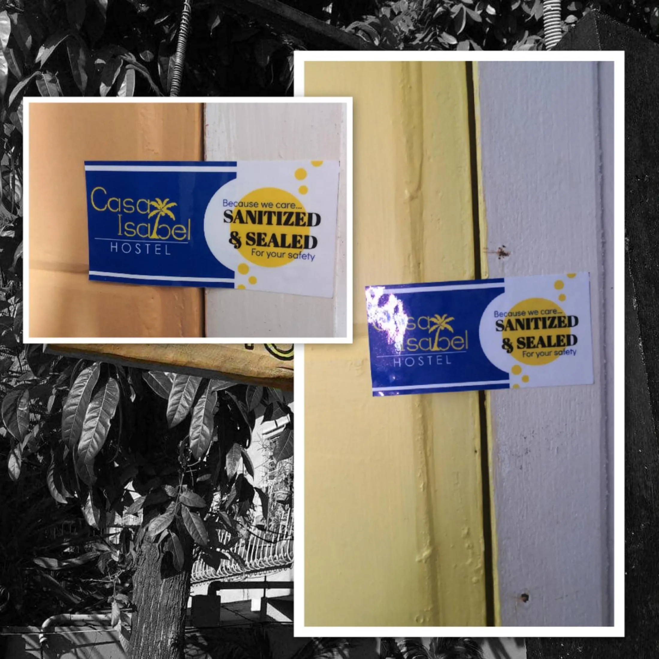 Kitchen or kitchenette in Casa Isabel Hostel