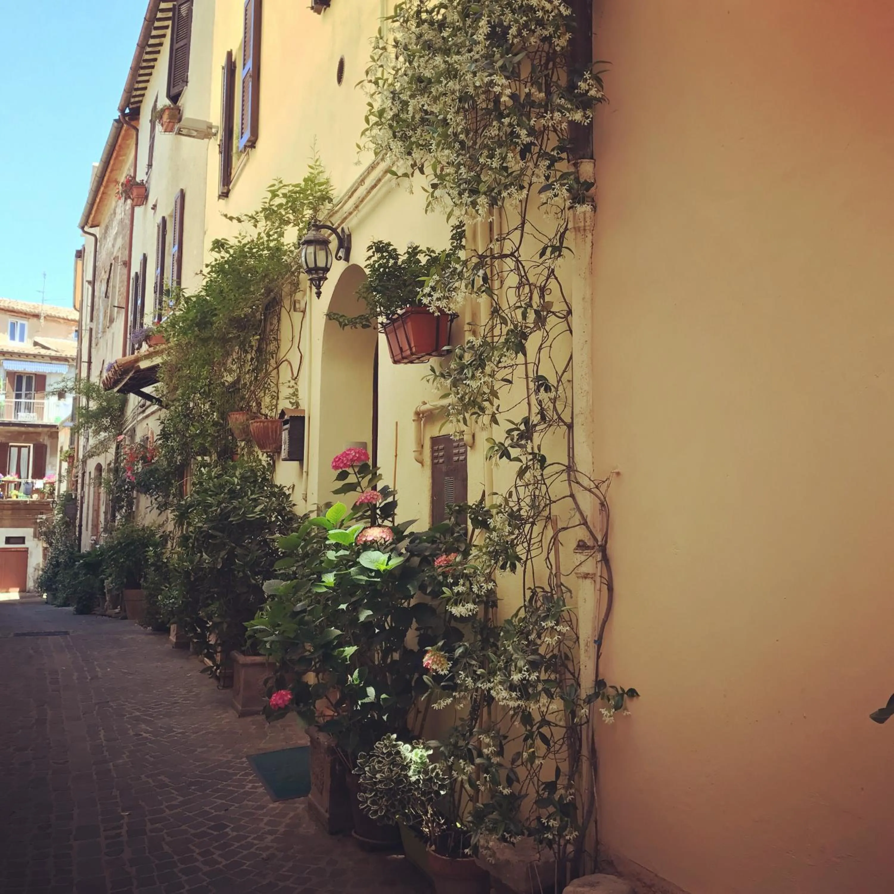 Facade/entrance in B&B La Dimora del Capitano