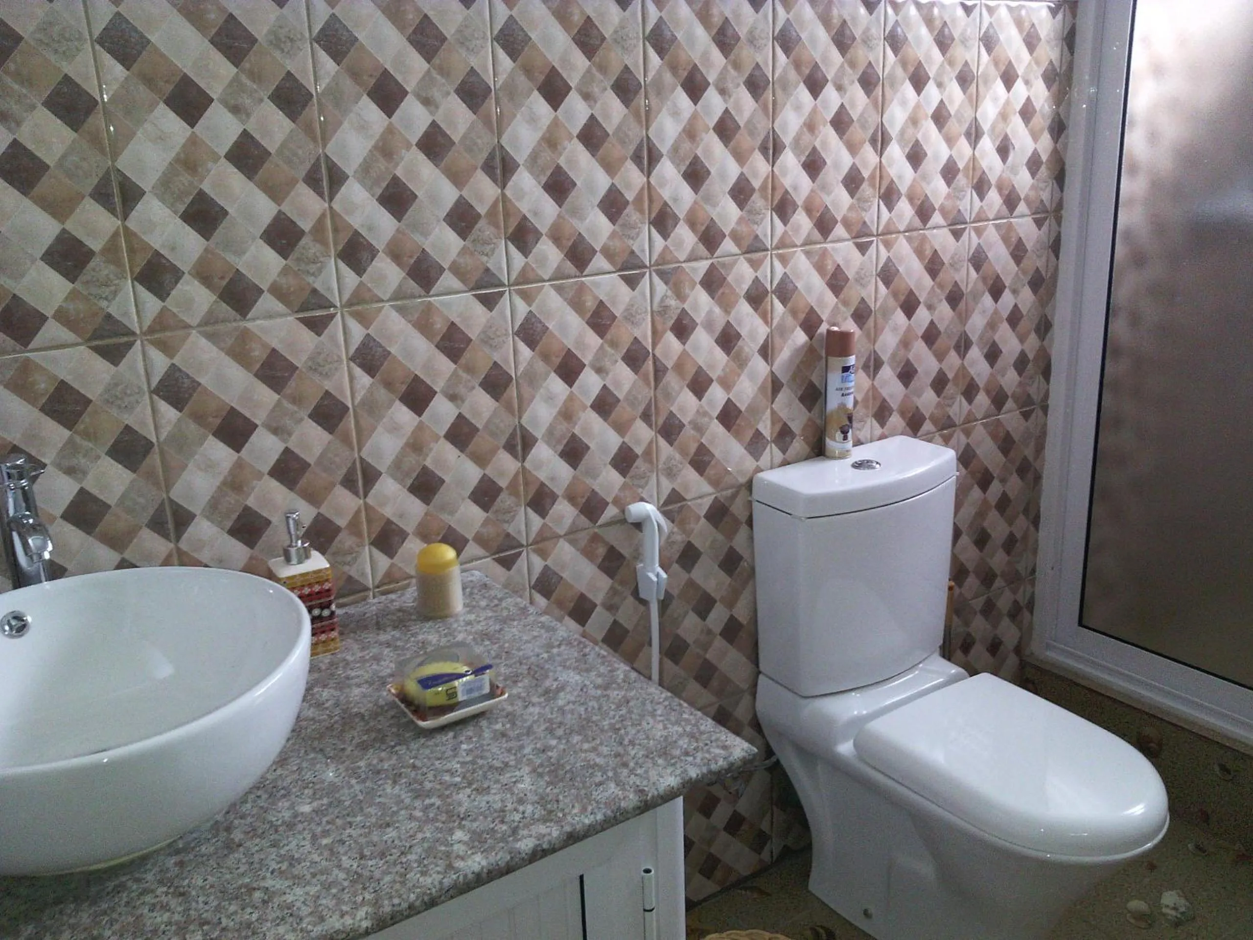 Toilet in Riverside Studio
