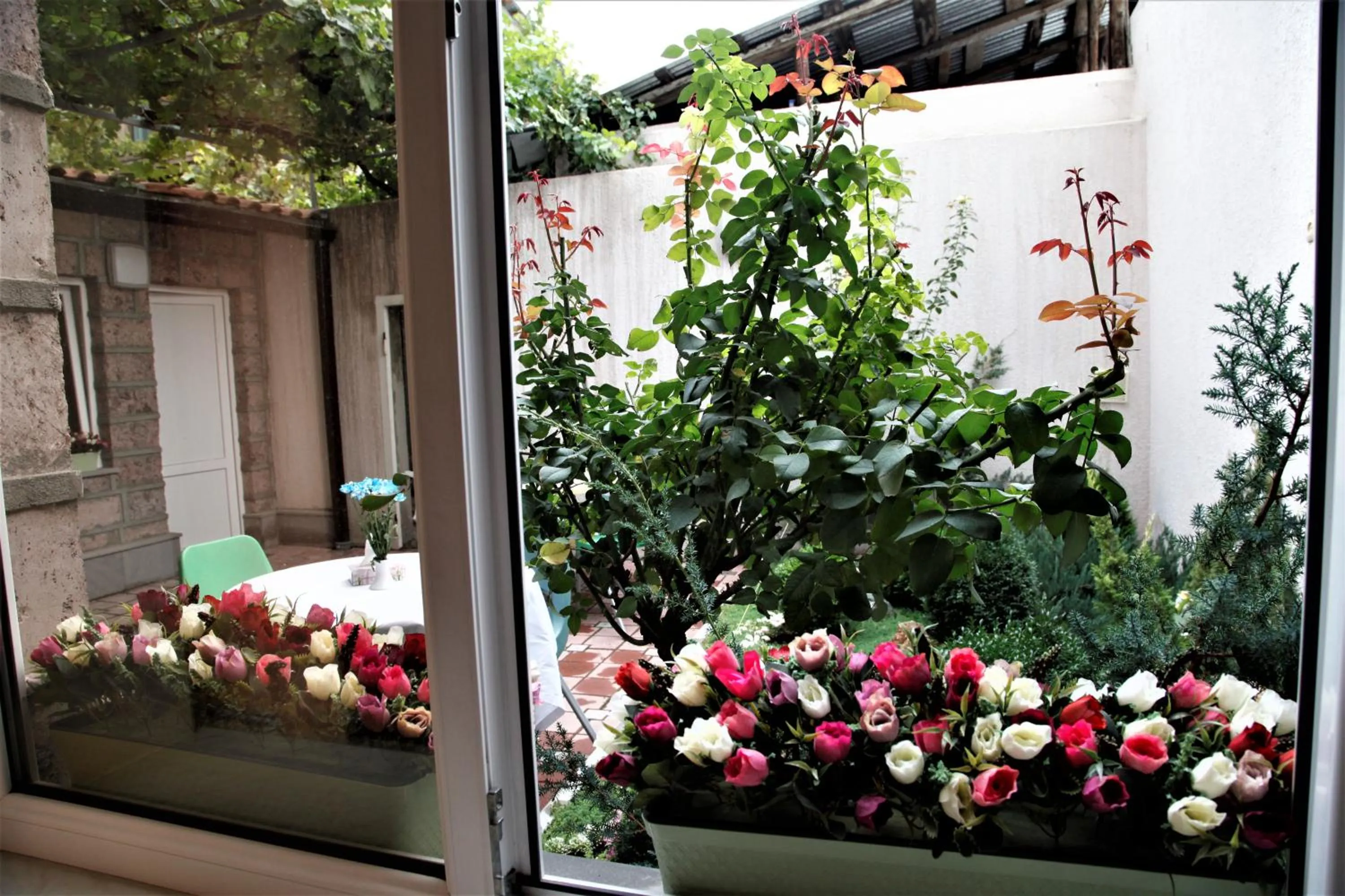 View (from property/room) in Albert House Hotel and Tours