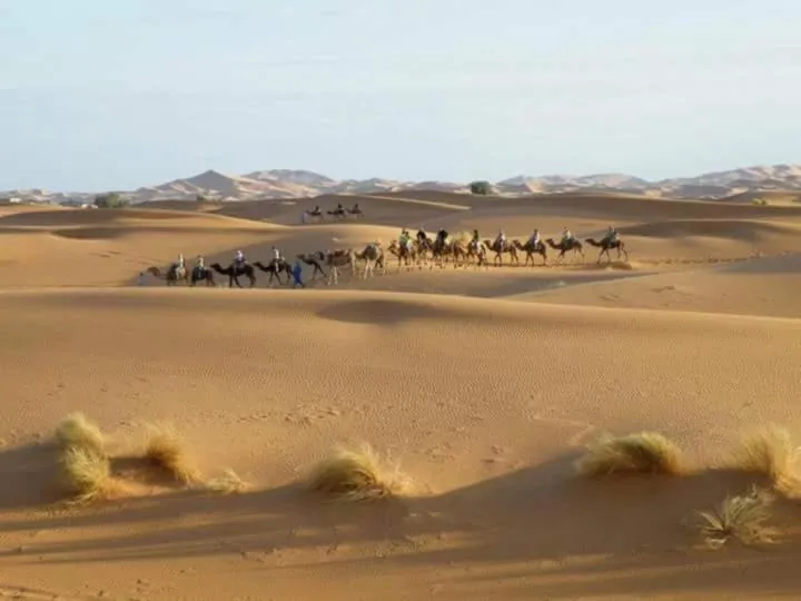 Bivouac Dune Iriki