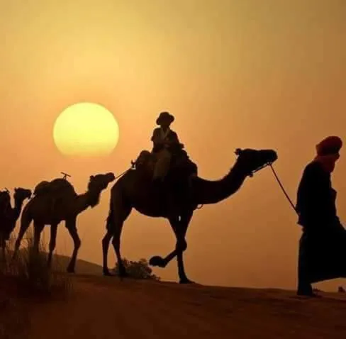 Bivouac Dune Iriki