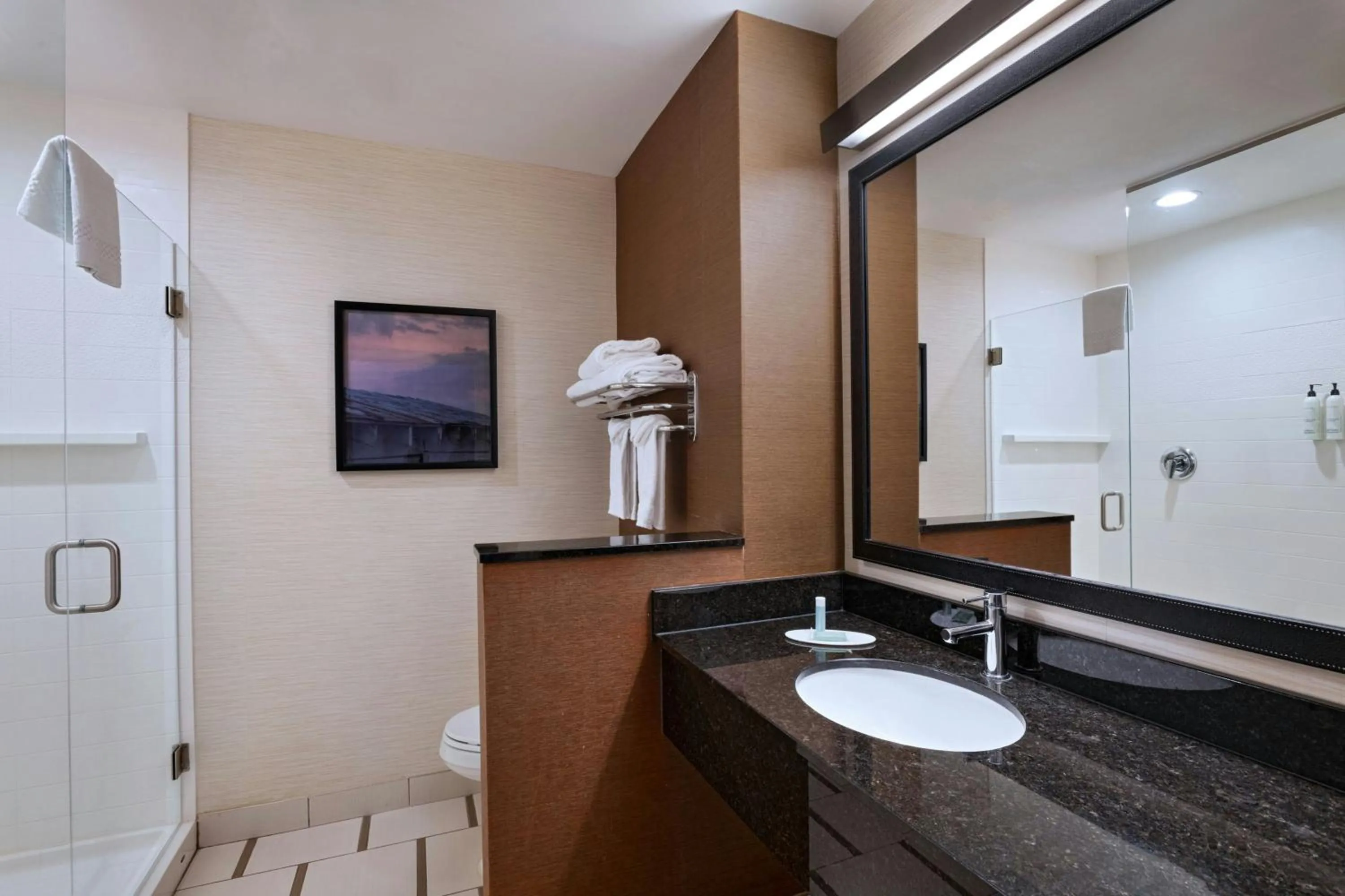 Bathroom in Fairfield Inn & Suites by Marriott Austin San Marcos