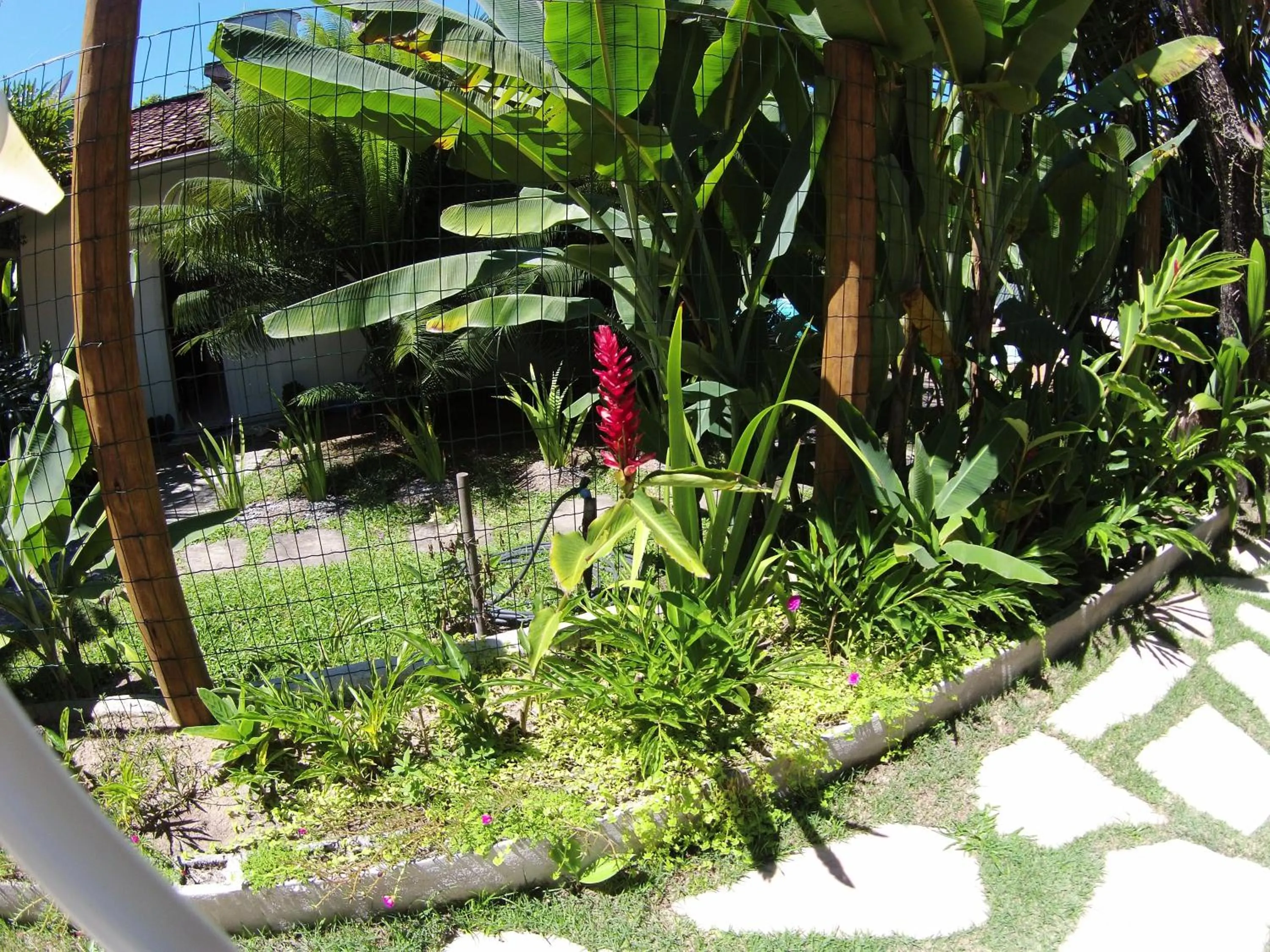 Garden view in Pousada Pandoro