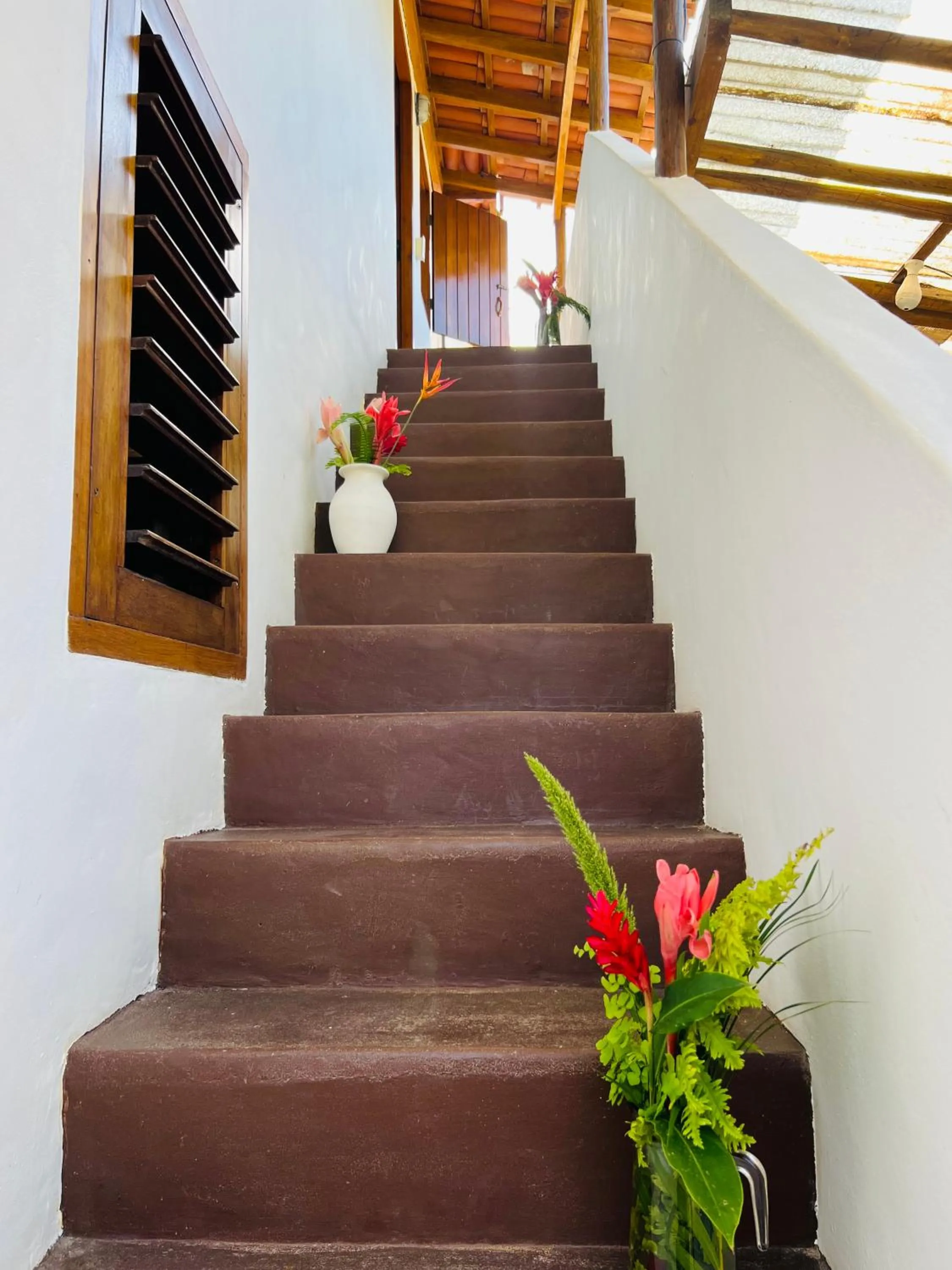 Property building in Pousada Pandoro