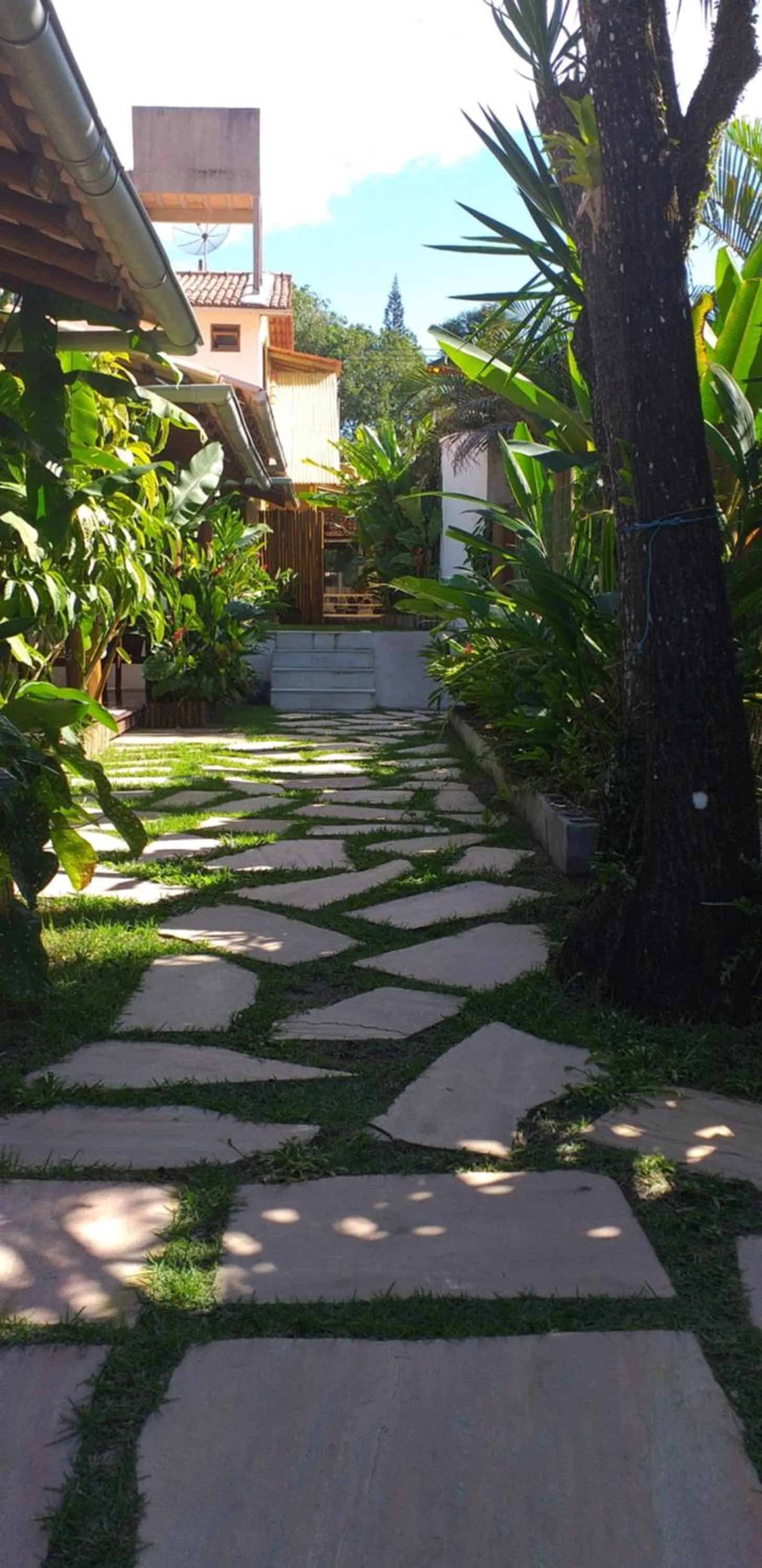 Garden in Pousada Pandoro