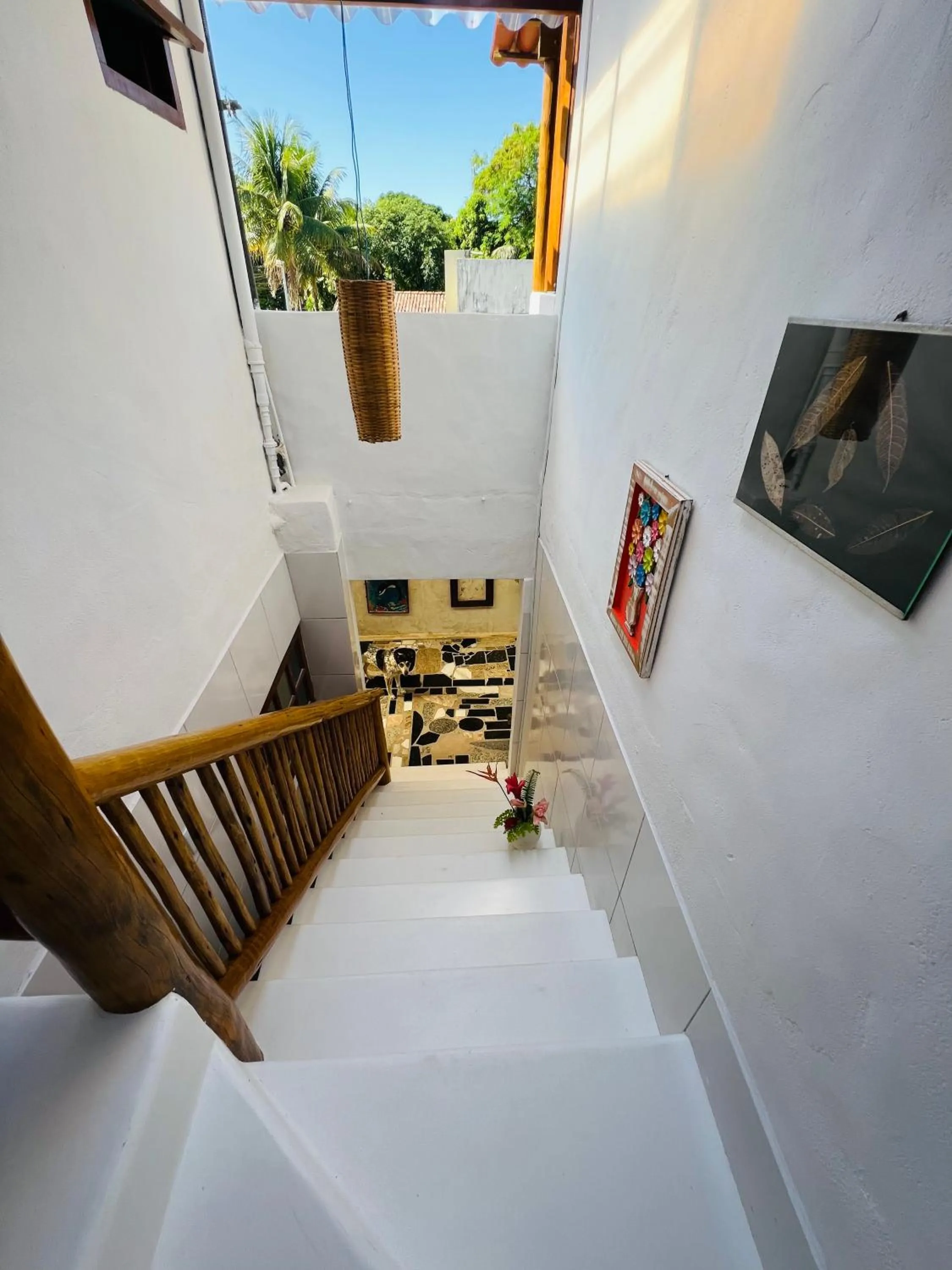 Property building in Pousada Pandoro