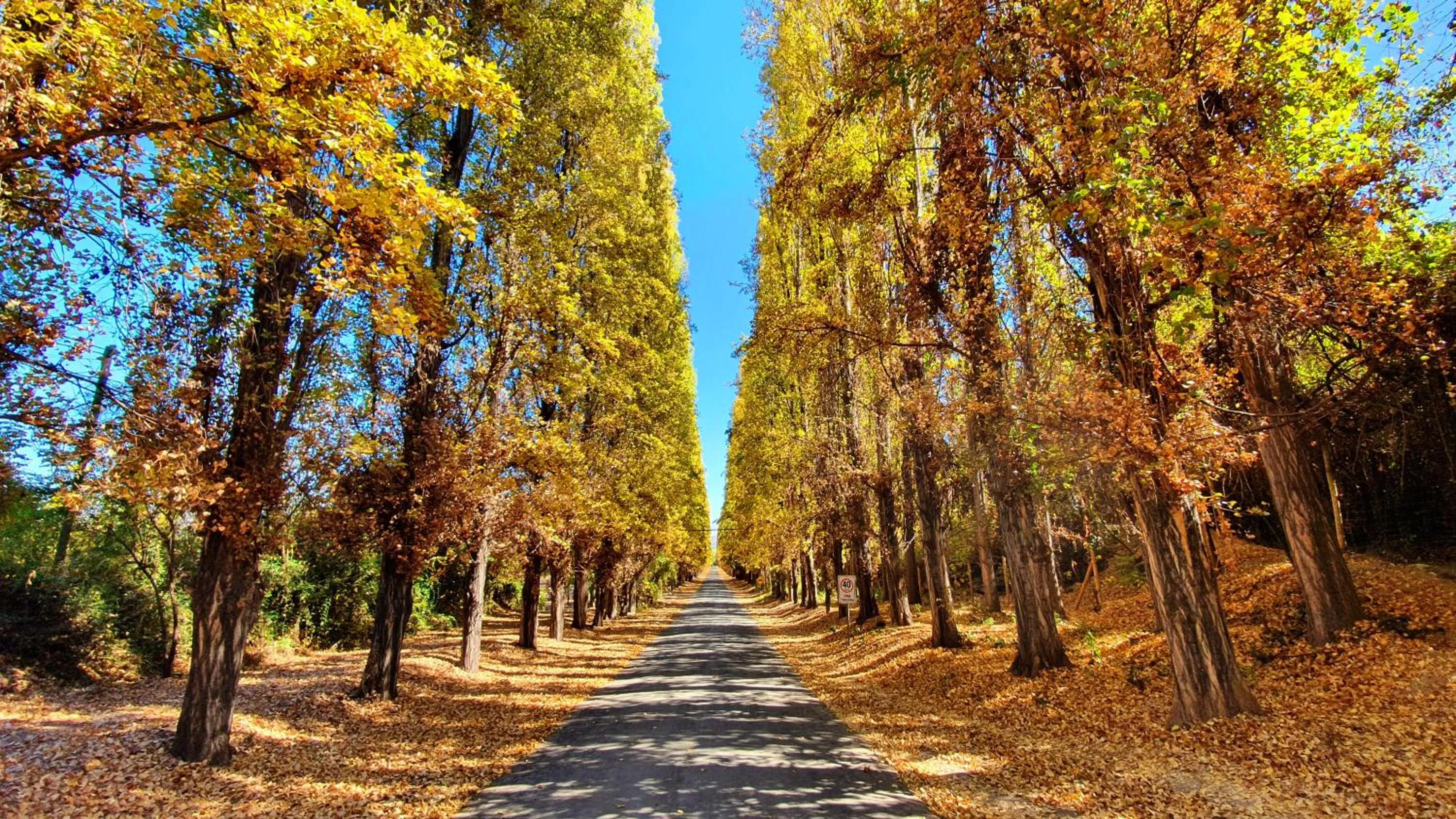 Natural landscape in Termas El Corazon
