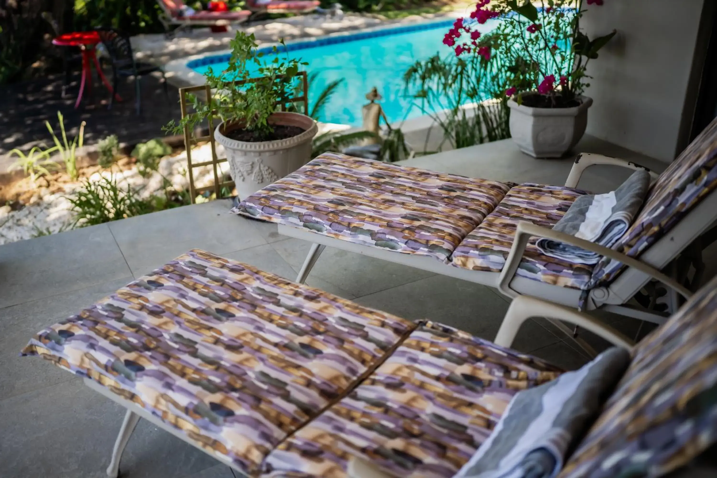 Pool view in De Wingerd Wijnland Lodge Pool view in De Wingerd Wijnland Lodge