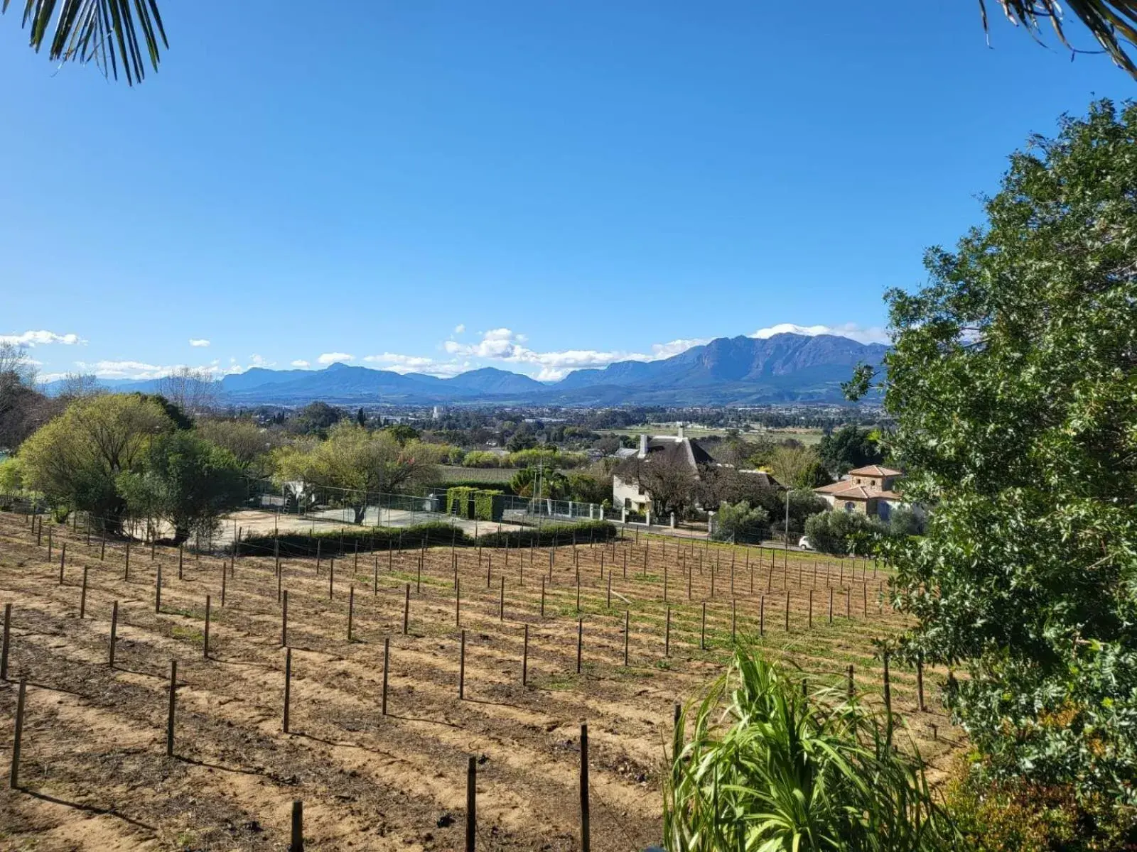 View (from property/room) in De Wingerd Wijnland Lodge View (from property/room) in De Wingerd Wijnland Lodge