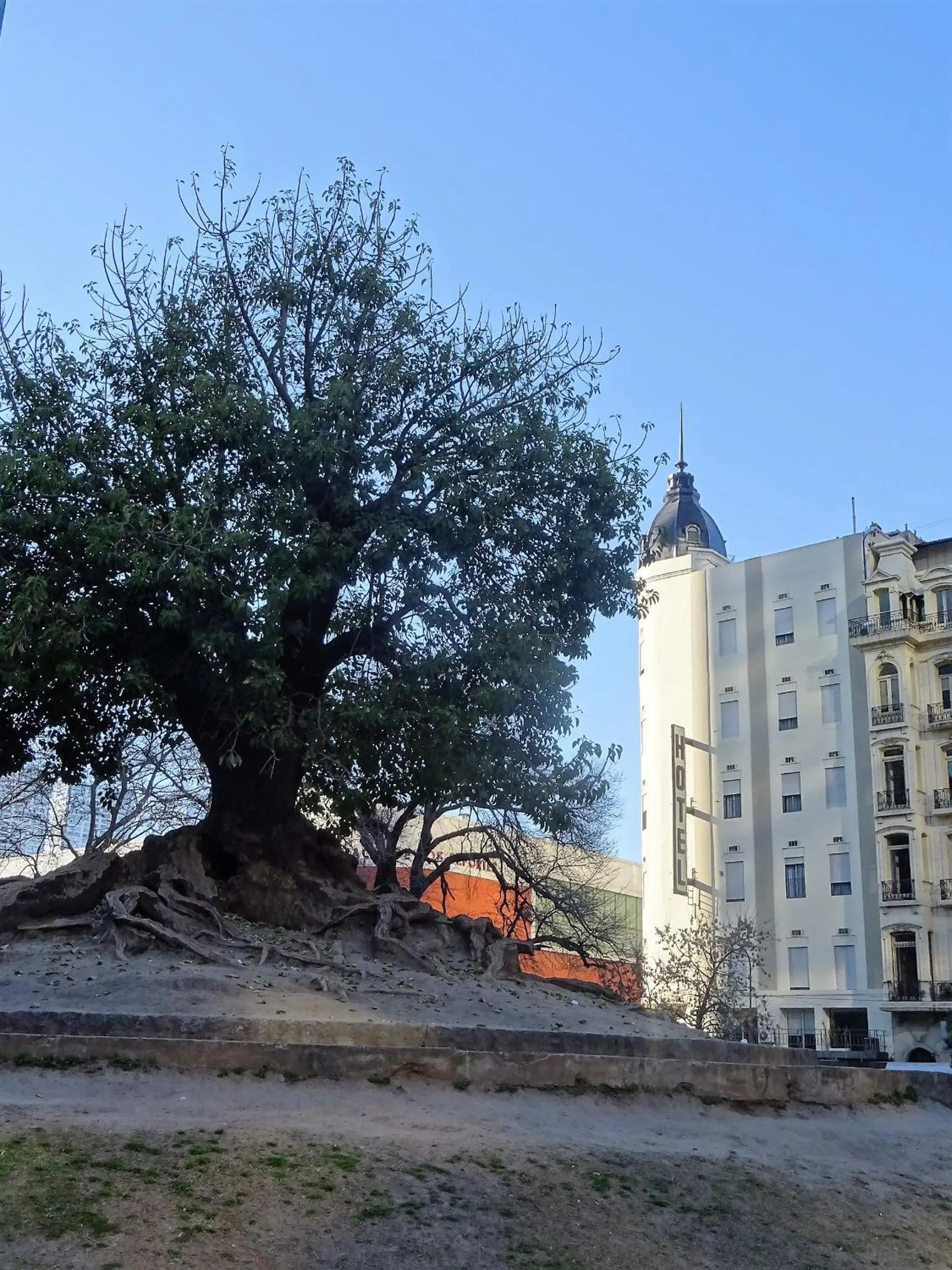 Facade/entrance in Hotel Plaza Roma