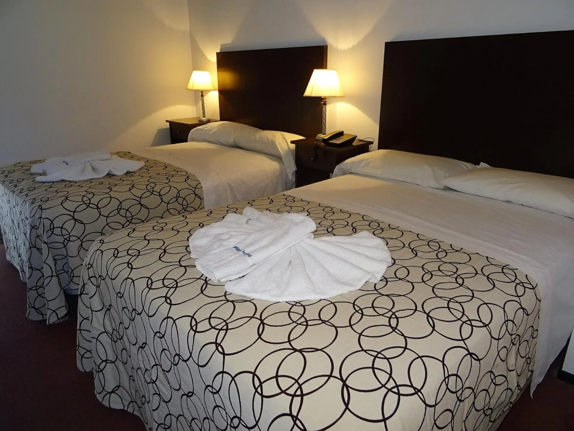 Photo of the whole room, Bed in Hotel Plaza Roma