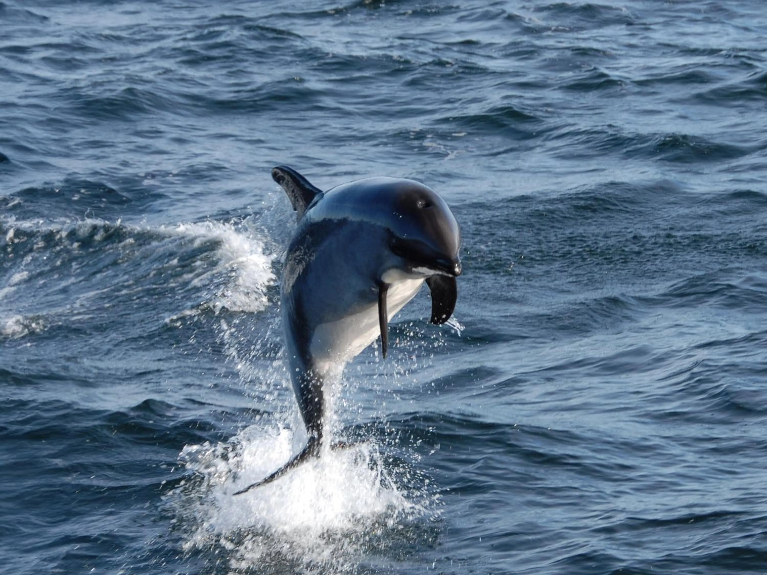 Natural landscape in Loberias Del Sur