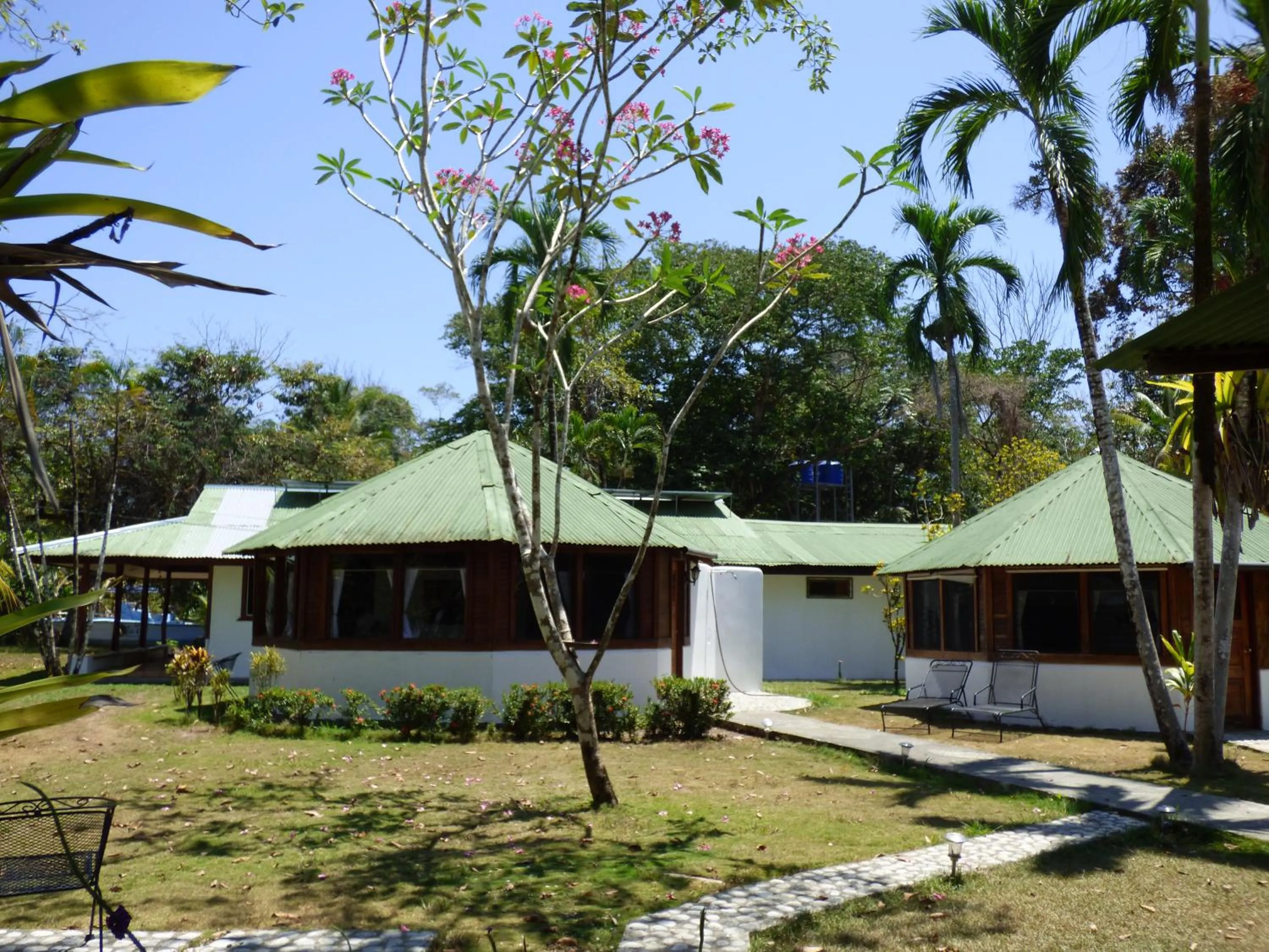 Garden view in Corcovado Beach Lodge